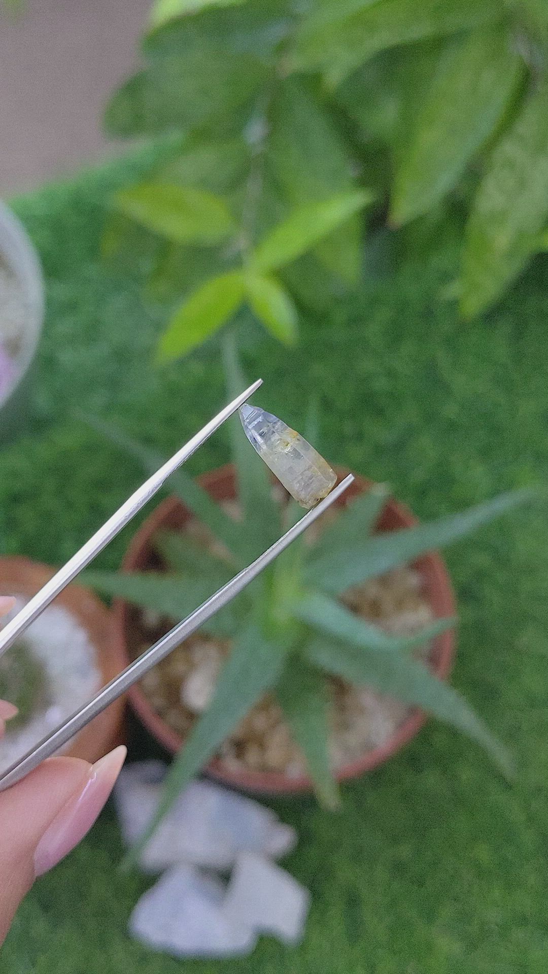 4.11 Ct. Bi Color / Parti Sapphire from Ceylon (Sri Lanka) Size Video