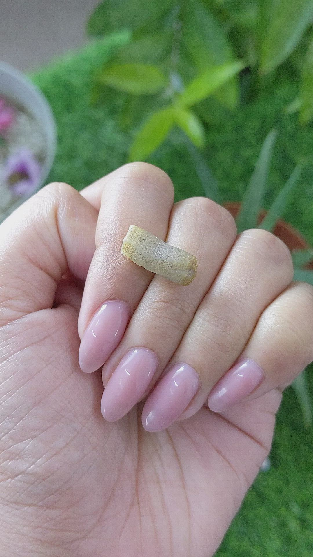 12.64 Ct. Yellow Sapphire from Ceylon (Sri Lanka) Size Video