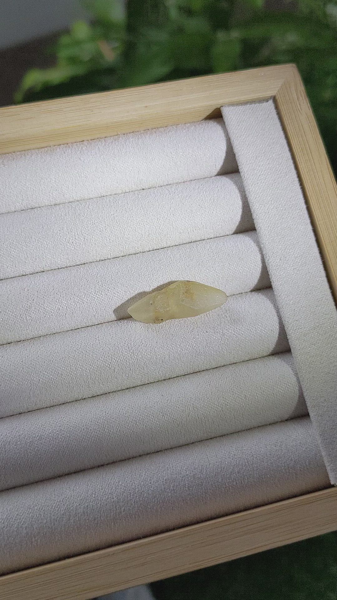 10.59 Ct. Yellow Sapphire from Ceylon (Sri Lanka) Size Video