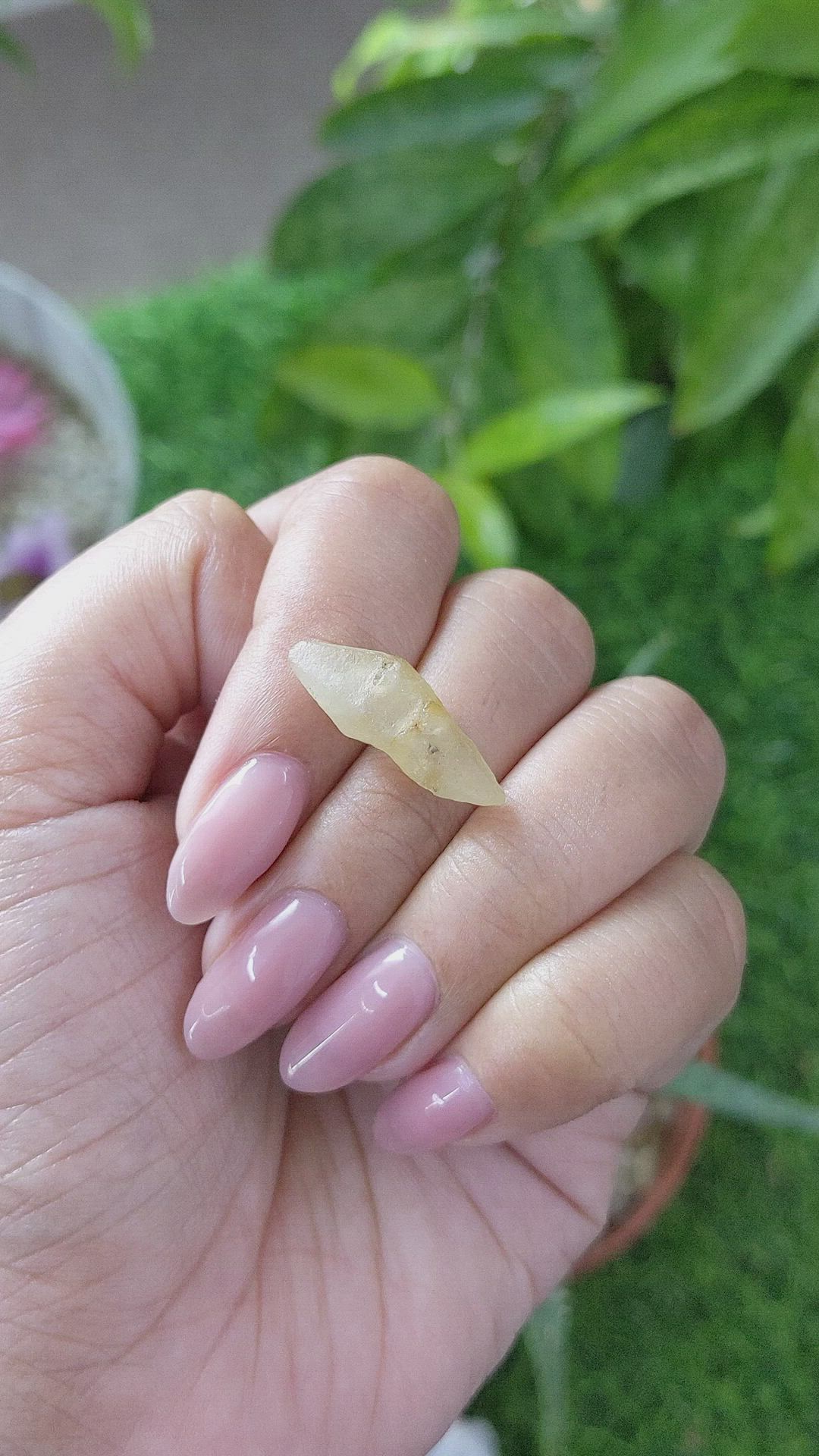 10.59 Ct. Yellow Sapphire from Ceylon (Sri Lanka) Size Video