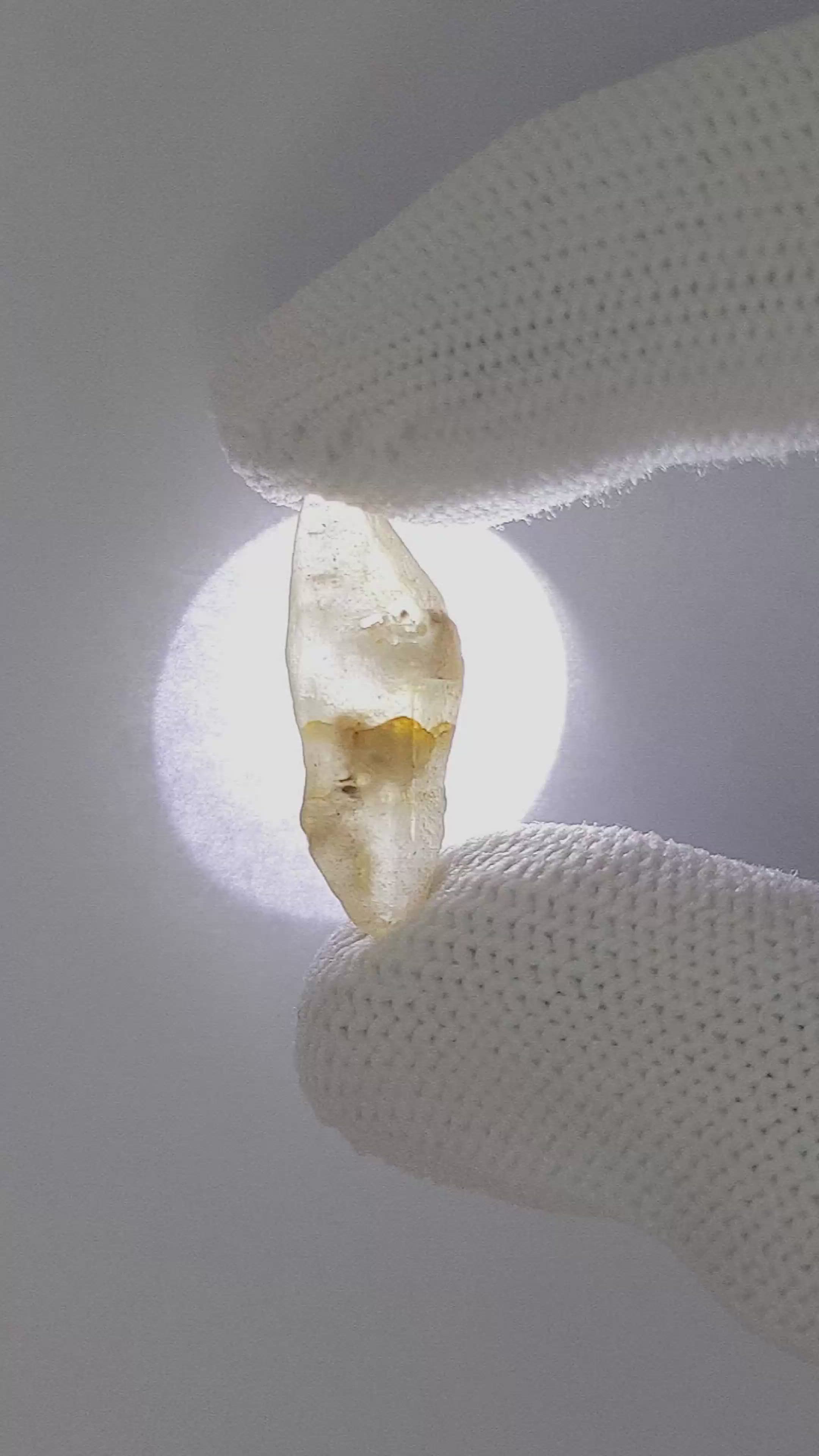 10.59 Ct. Yellow Sapphire from Ceylon (Sri Lanka) Size Video