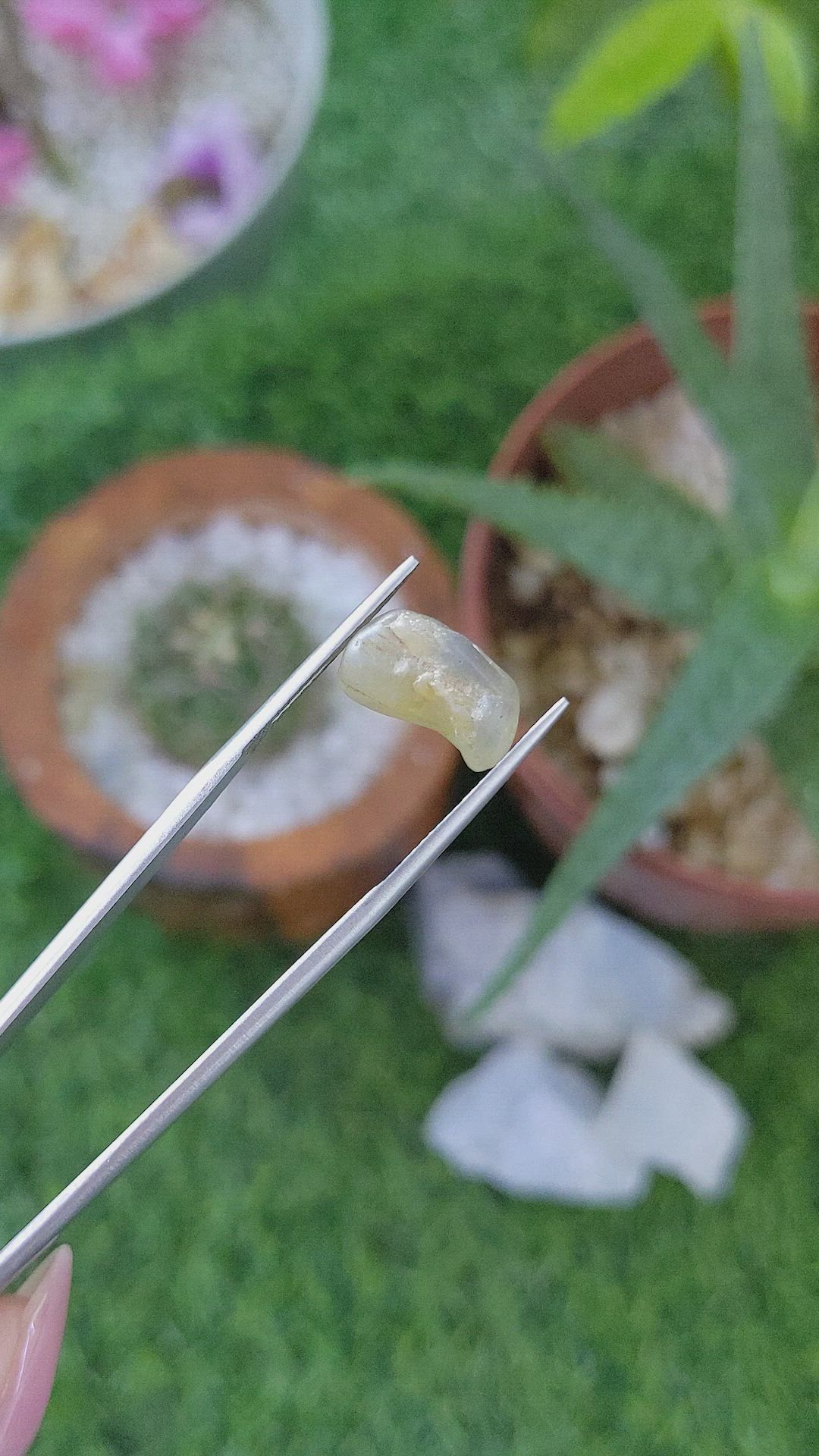 6.63 Ct. Yellow Sapphire from Ceylon (Sri Lanka) Size Video