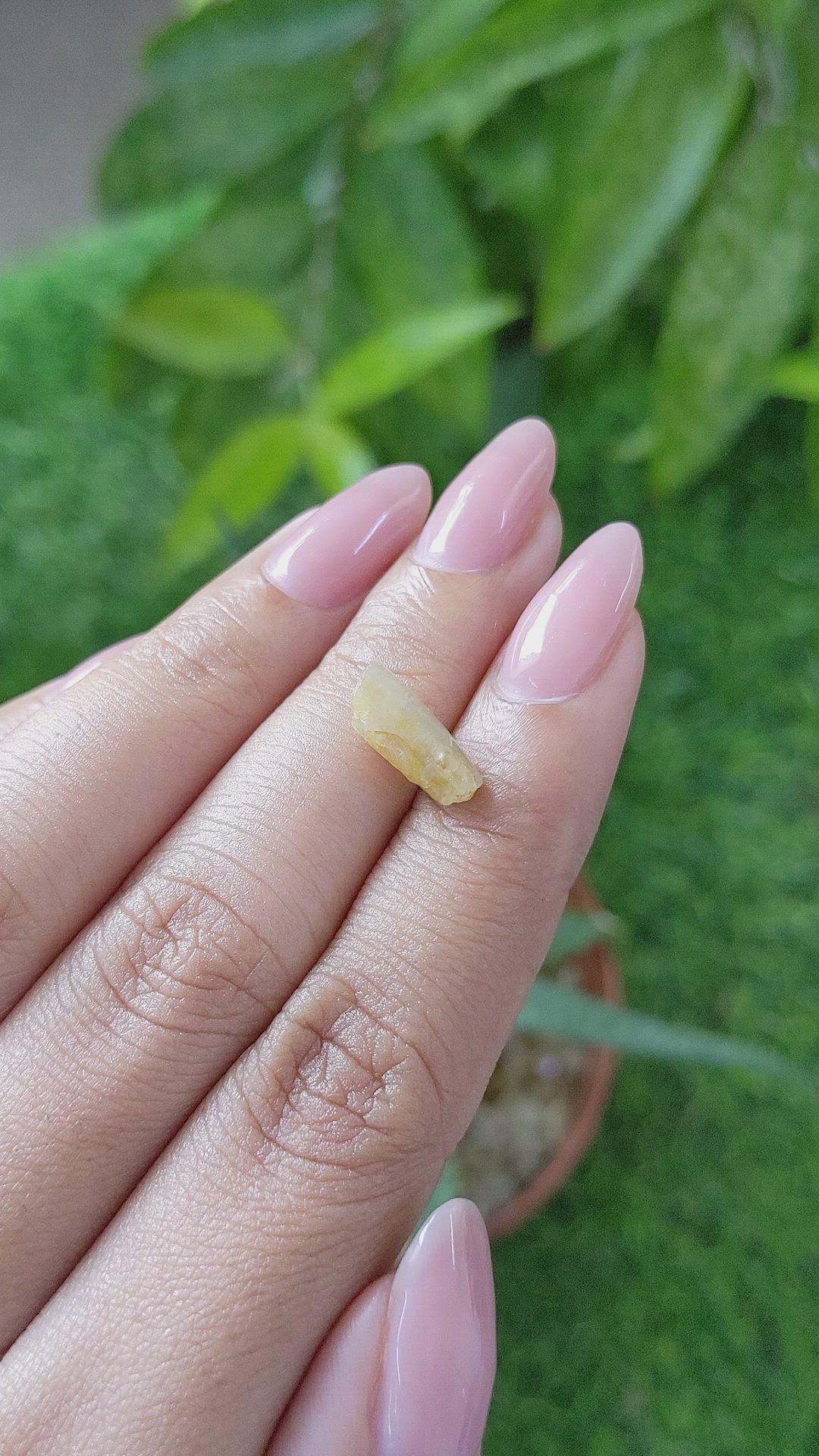 2.10 Ct. Yellow Sapphire from Ceylon (Sri Lanka) Size Video
