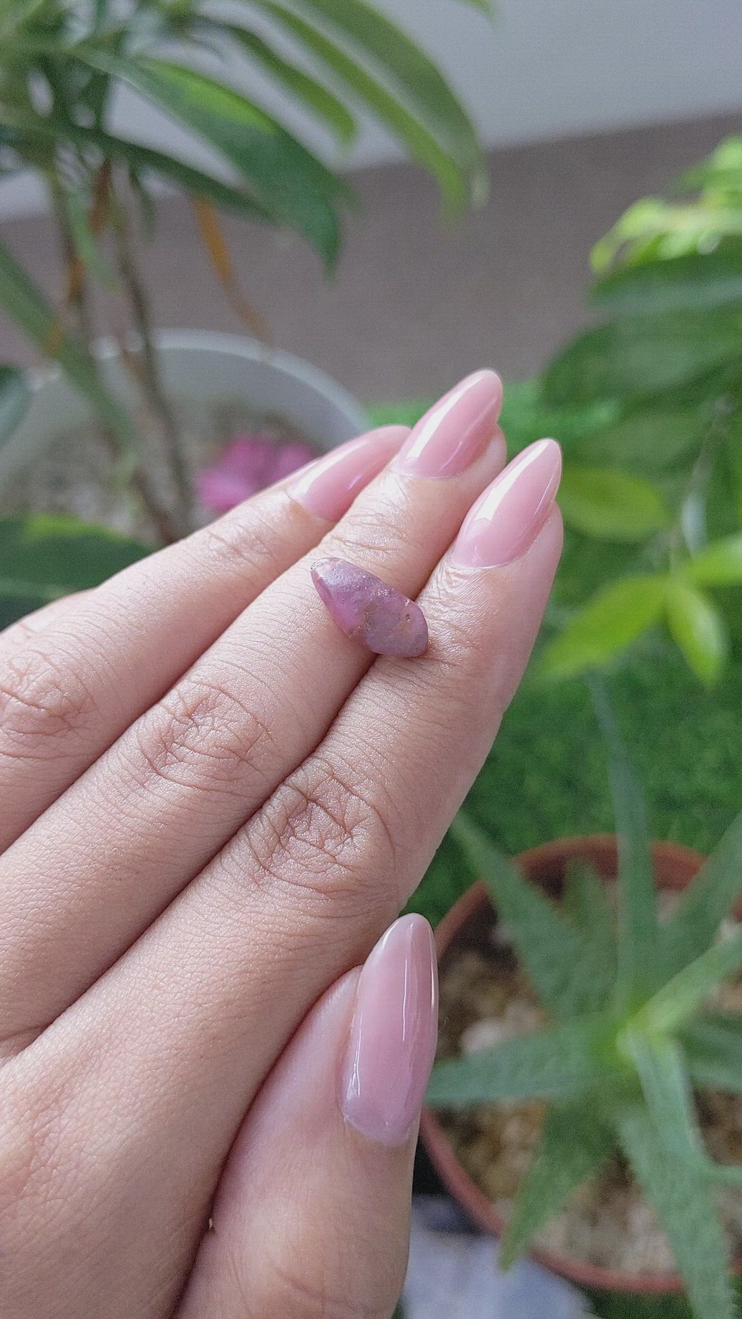 4.45 Ct. Pink Sapphire from Ceylon (Sri Lanka) Size Video