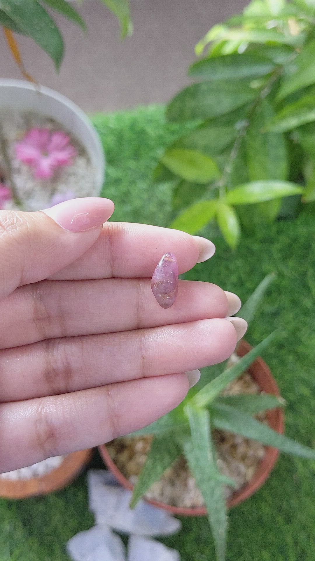 4.45 Ct. Pink Sapphire from Ceylon (Sri Lanka) Size Video