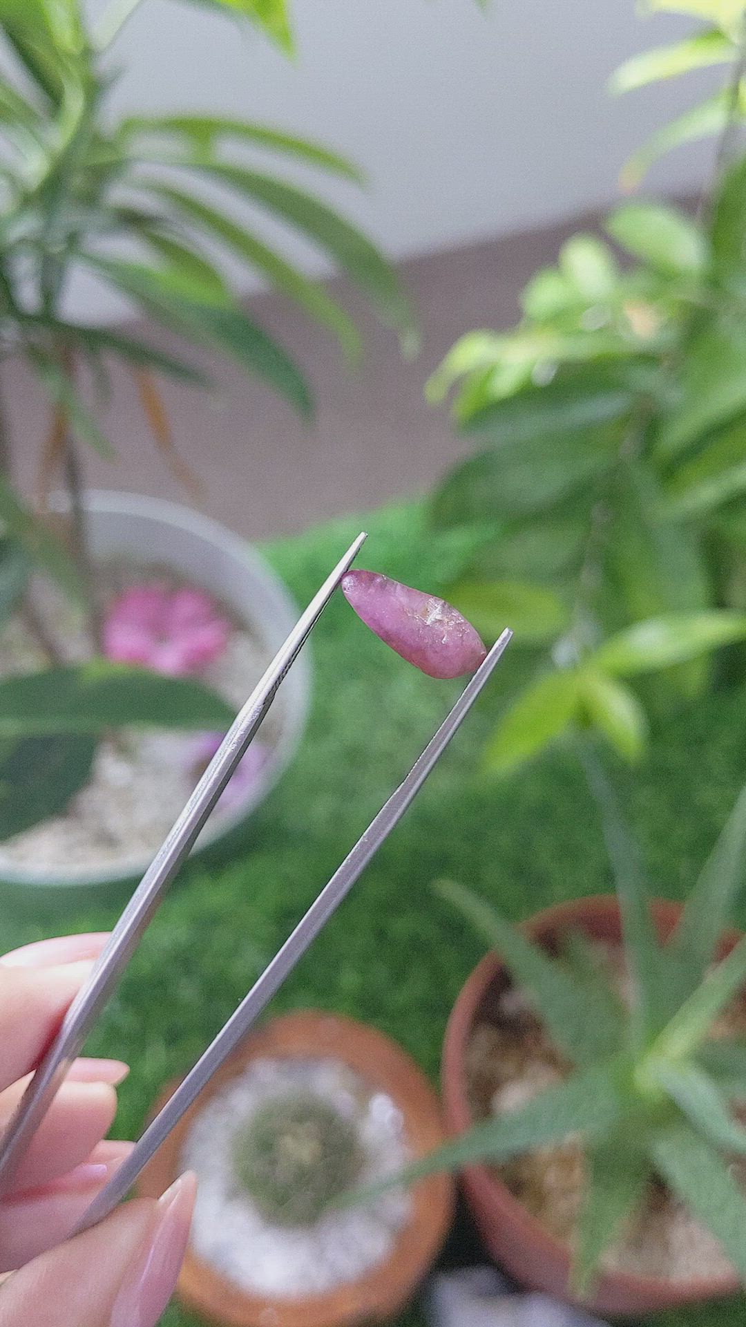 4.45 Ct. Pink Sapphire from Ceylon (Sri Lanka) Size Video
