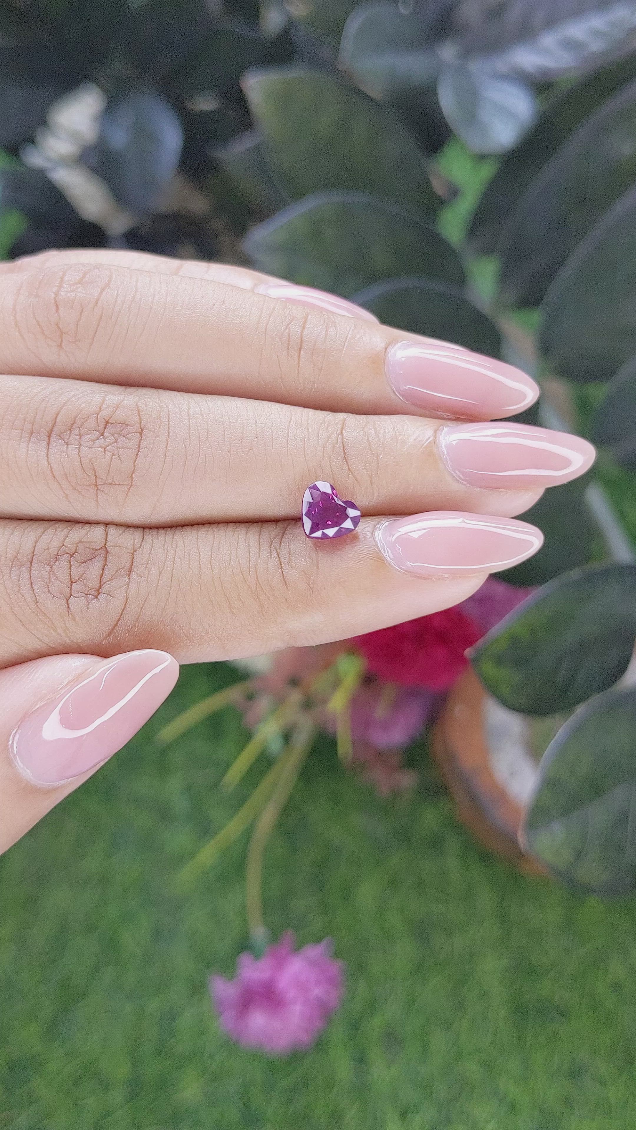 1.55 Ct. Purplish Pink Sapphire from Tanzania Size Video