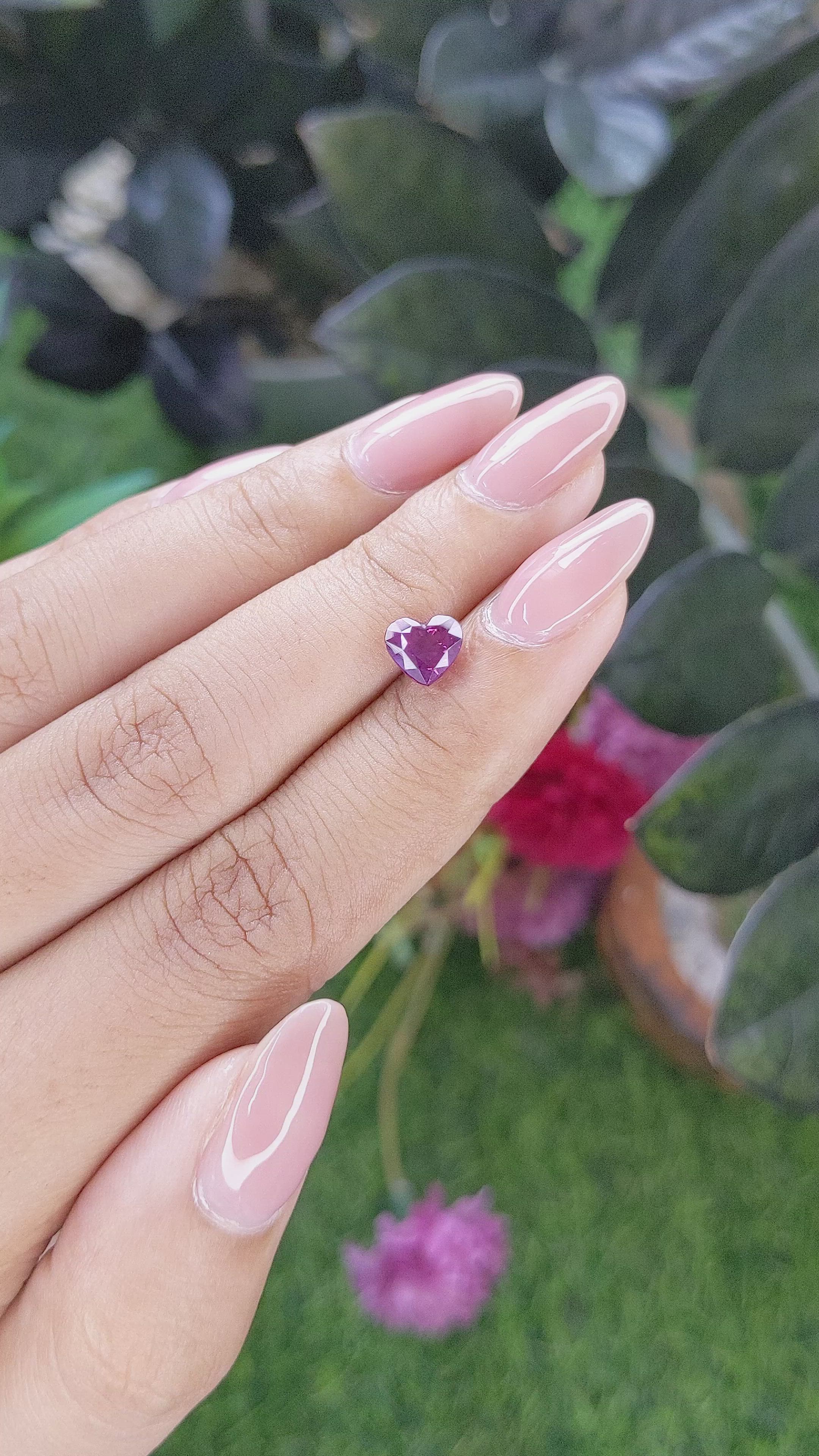1.55 Ct. Purplish Pink Sapphire from Tanzania Size Video