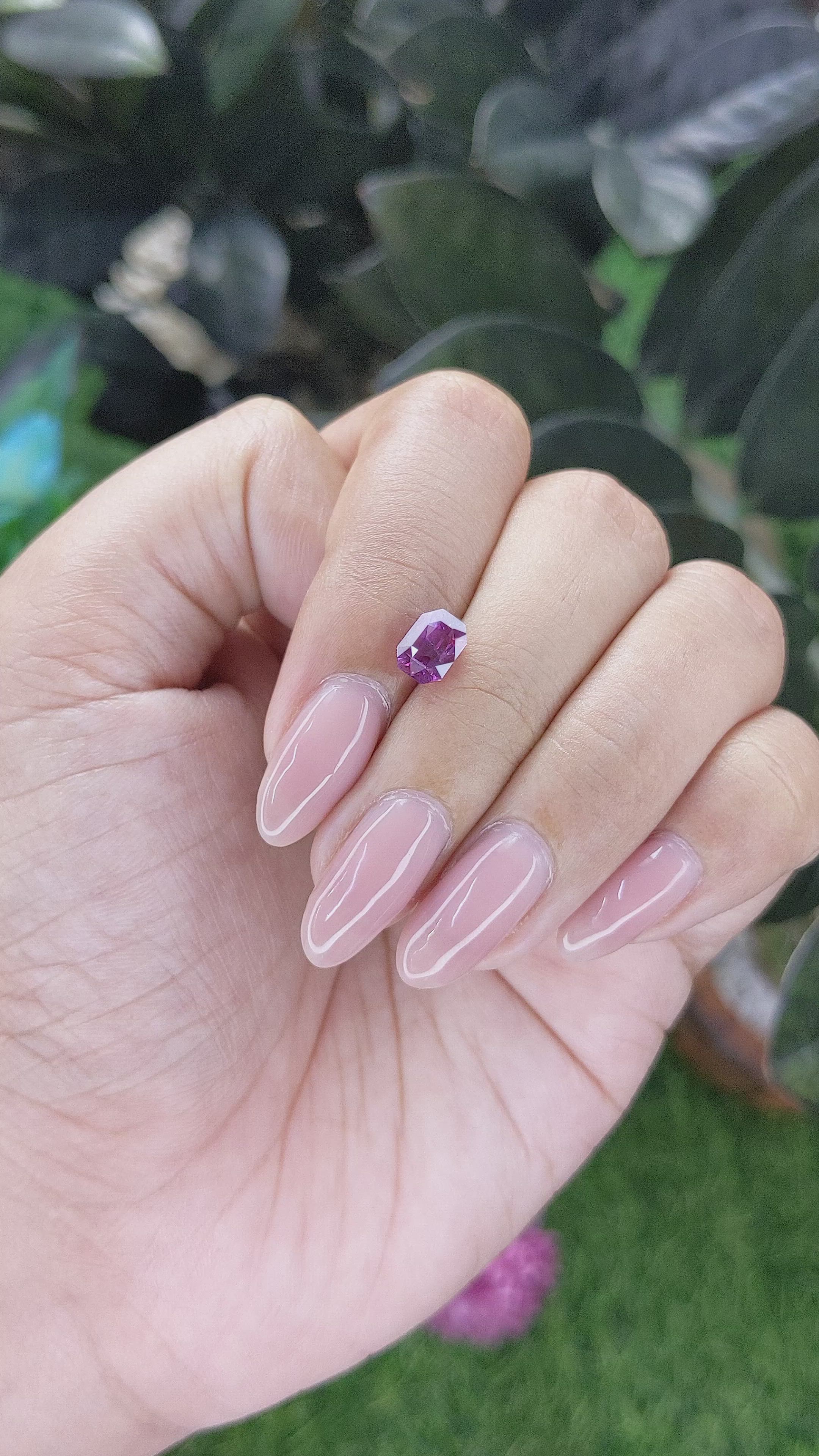 1.61 Ct. Purplish Pink Sapphire from Madagascar Size Video