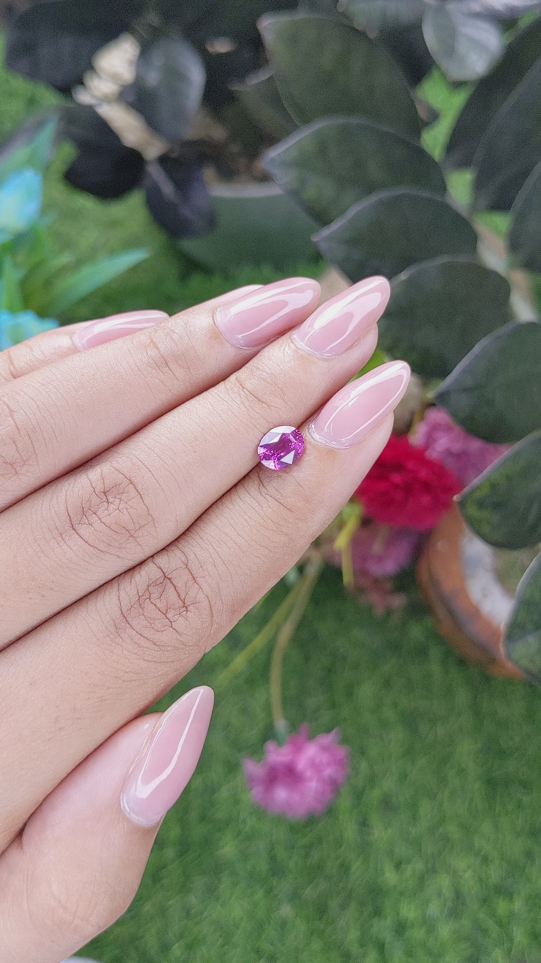 1.12 Ct. Purplish Pink Sapphire from Madagascar Size Video