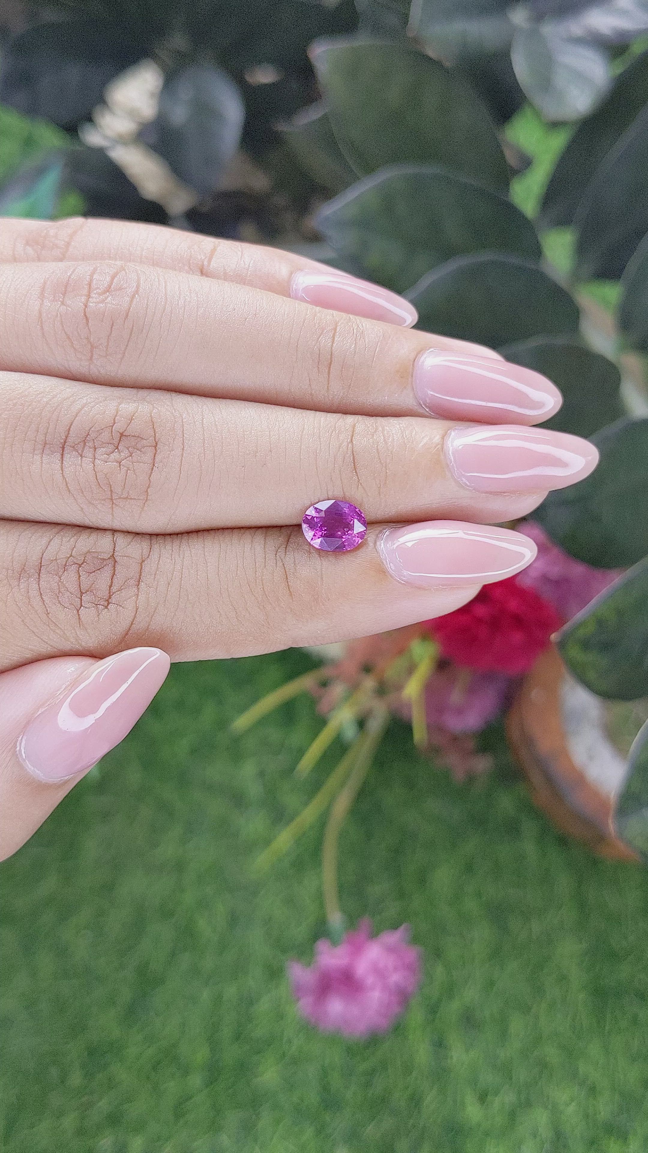 1.12 Ct. Purplish Pink Sapphire from Madagascar Size Video