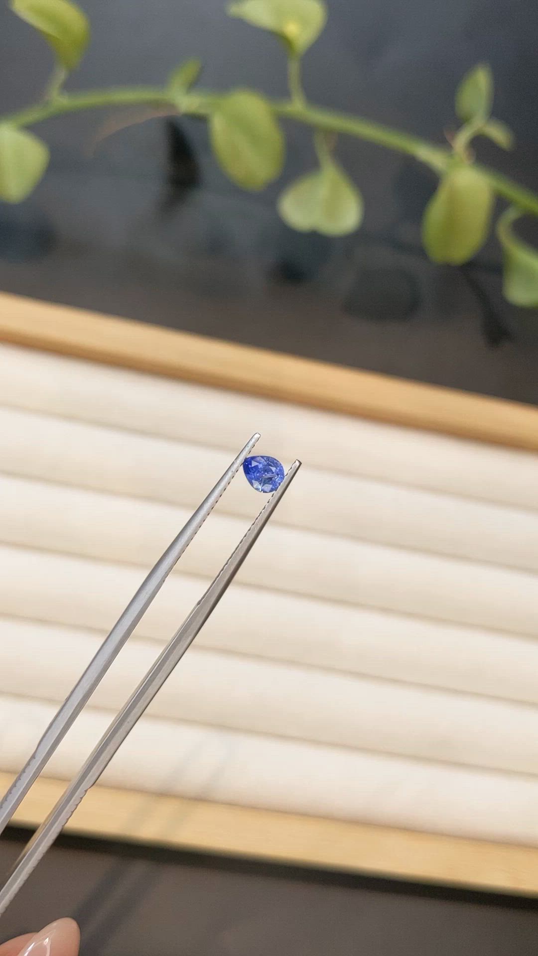 0.51 Ct. Blue Sapphire from Ceylon (Sri Lanka) Size Video