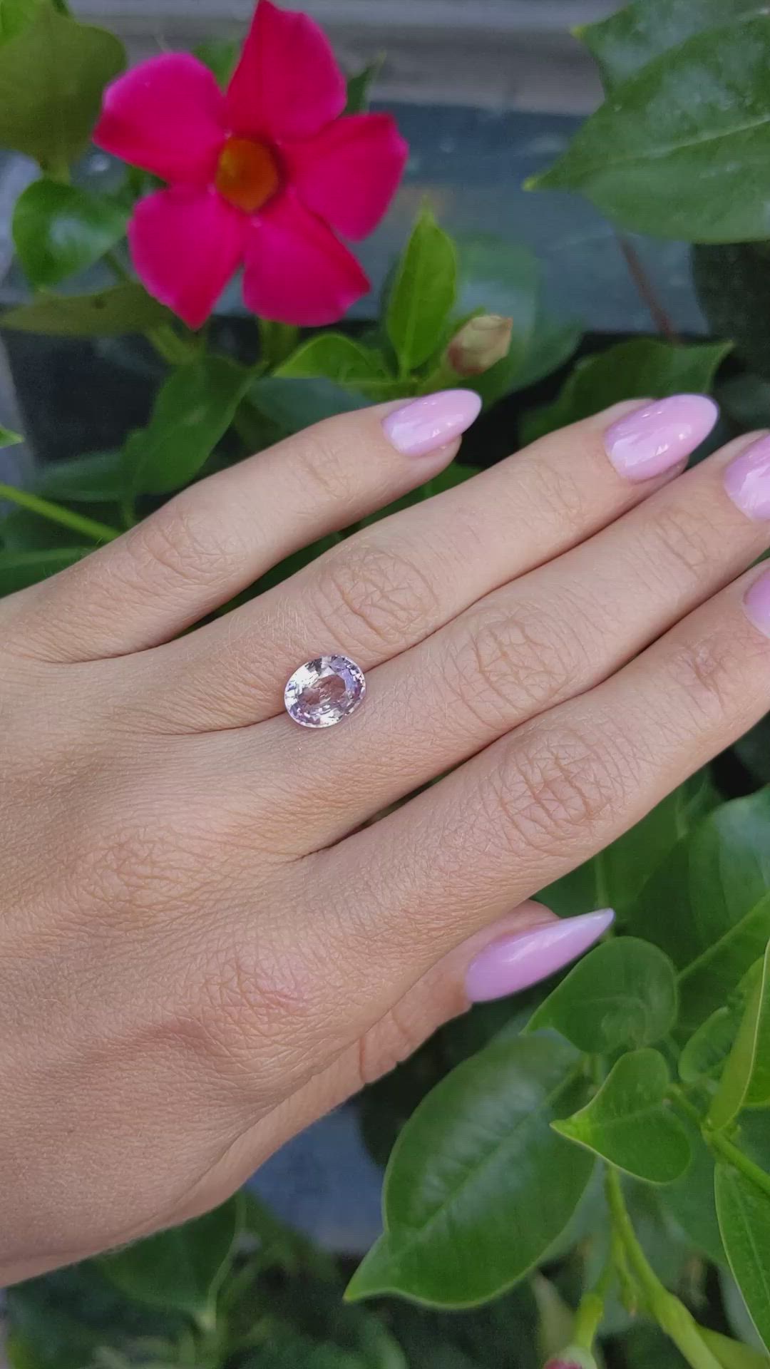 2.91 Ct. Pink Sapphire from Ceylon (Sri Lanka) Size Video