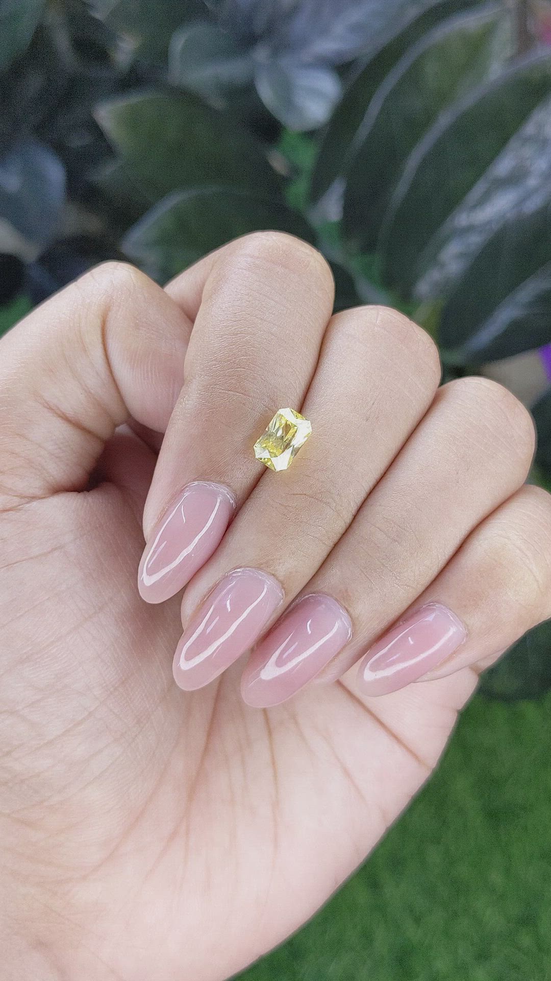 1.81 Ct. Yellow Sapphire from Ceylon (Sri Lanka) Size Video