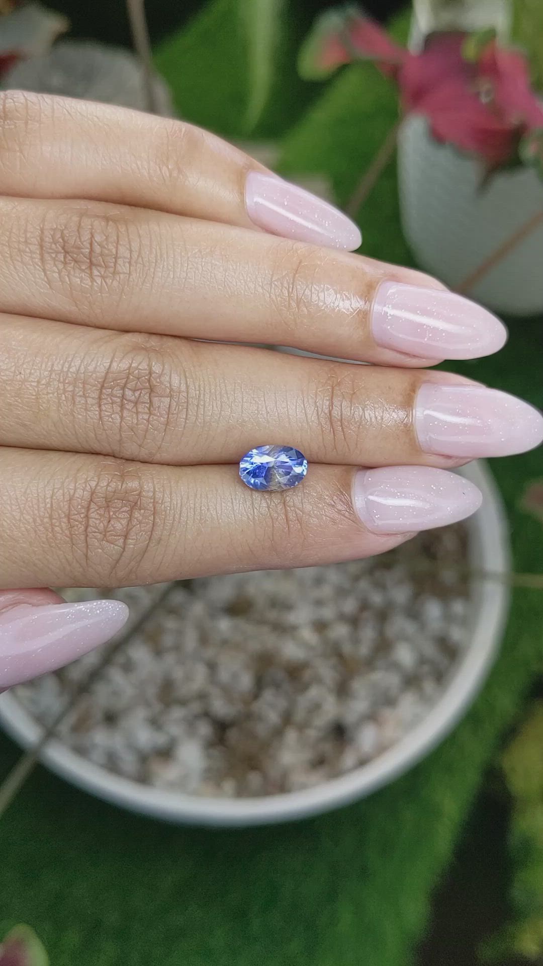 2.23 Ct. Bi Color Sapphire from Ceylon (Sri Lanka) Size Video
