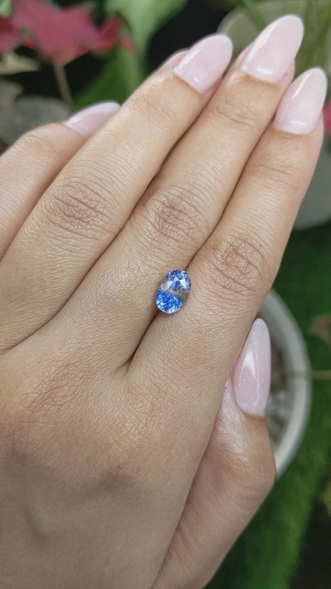 2.23 Ct. Bi Color Sapphire from Ceylon (Sri Lanka) Size Video
