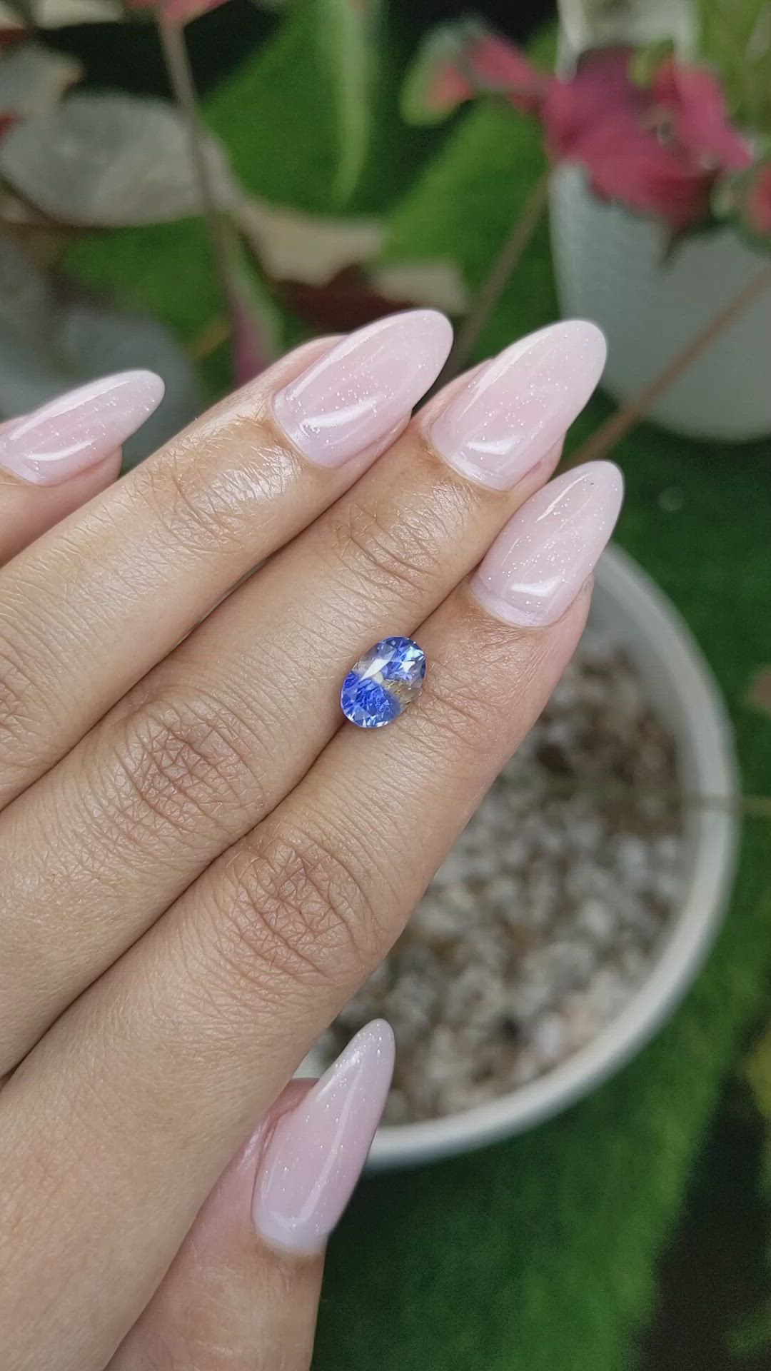 2.23 Ct. Bi Color Sapphire from Ceylon (Sri Lanka) Size Video