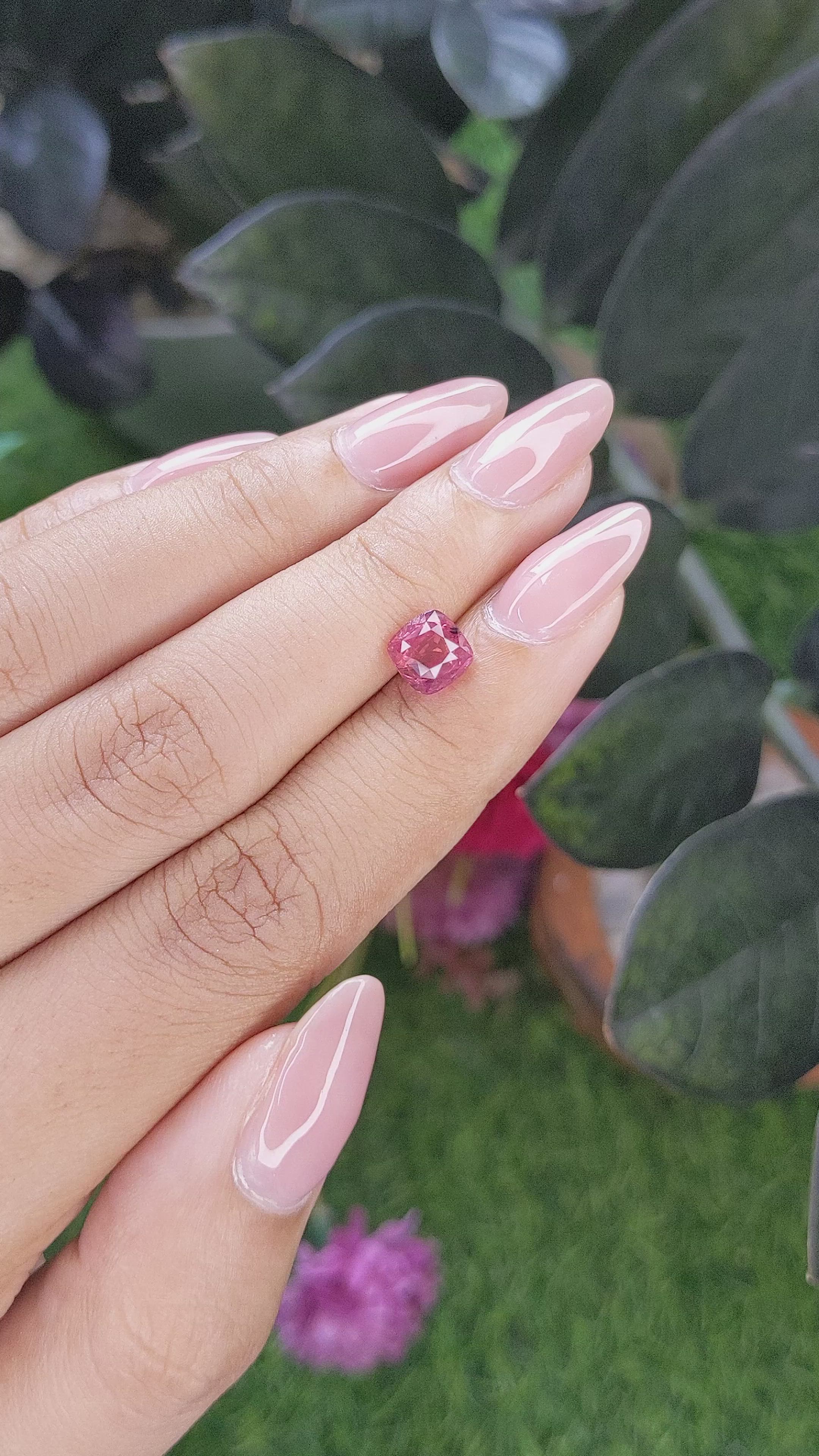 2.12 Ct. Bi Color / Parti Sapphire from Tanzania Size Video