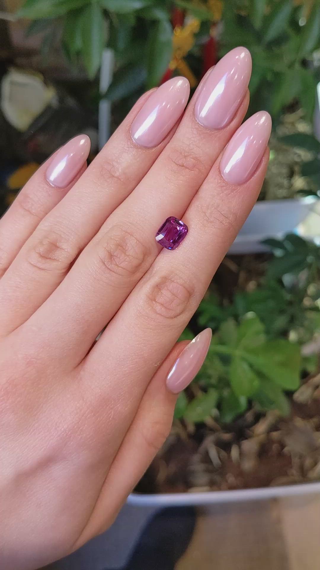 3.08 Ct. Pink Sapphire from Madagascar Size Video