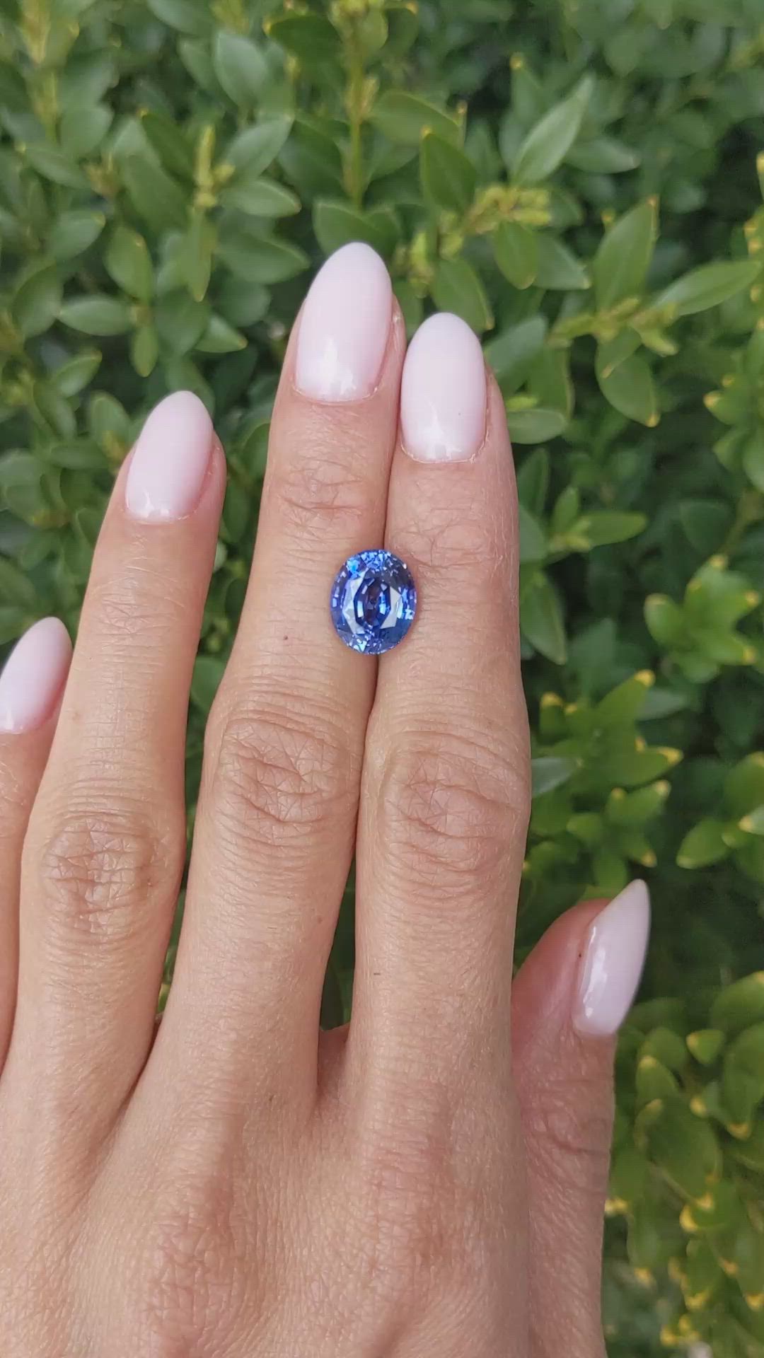 4.61 Ct. Blue Sapphire from Ceylon (Sri Lanka) Size Video