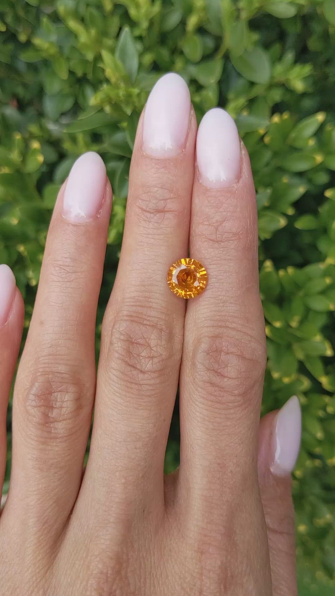 2.24 Ct. Yellowish Orange Sapphire from Ceylon (Sri Lanka) Size Video