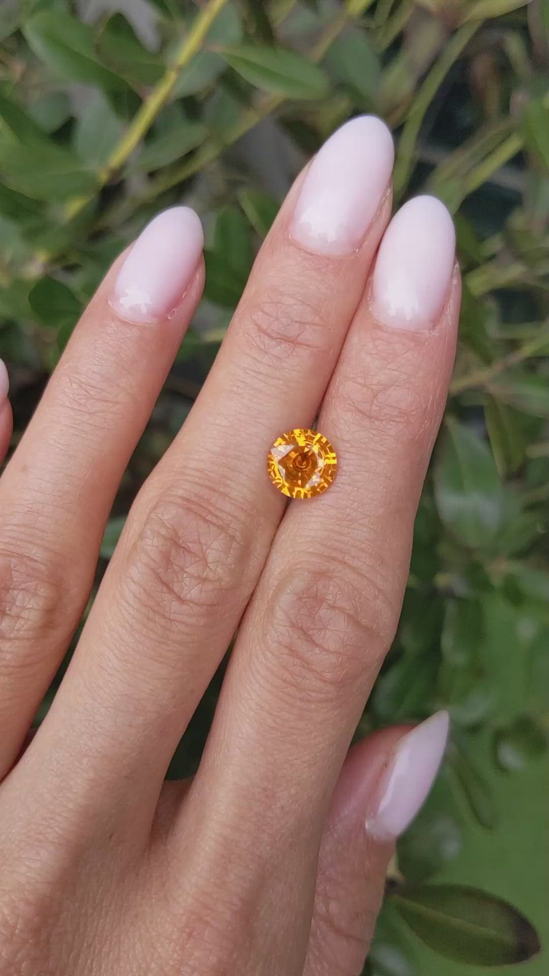 2.24 Ct. Yellowish Orange Sapphire from Ceylon (Sri Lanka) Size Video
