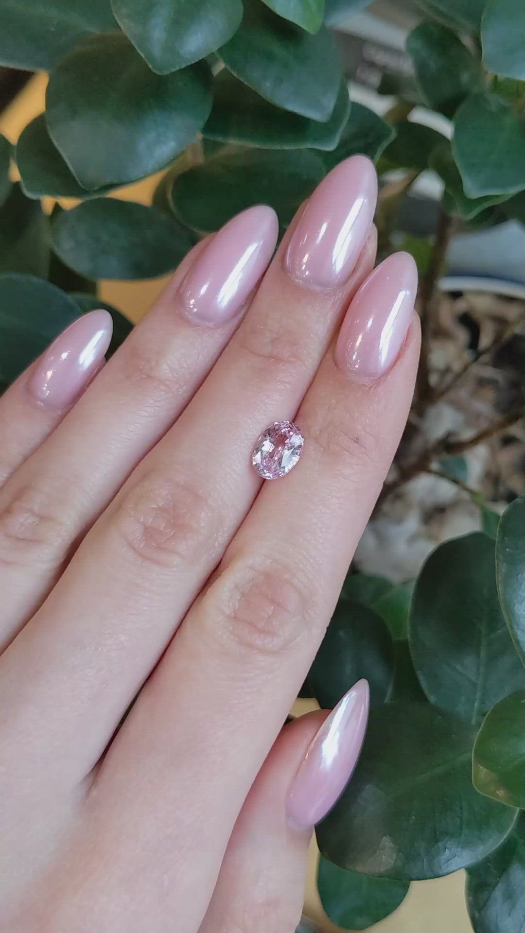 2.13 Ct. Pink Sapphire from Ceylon (Sri Lanka) Size Video