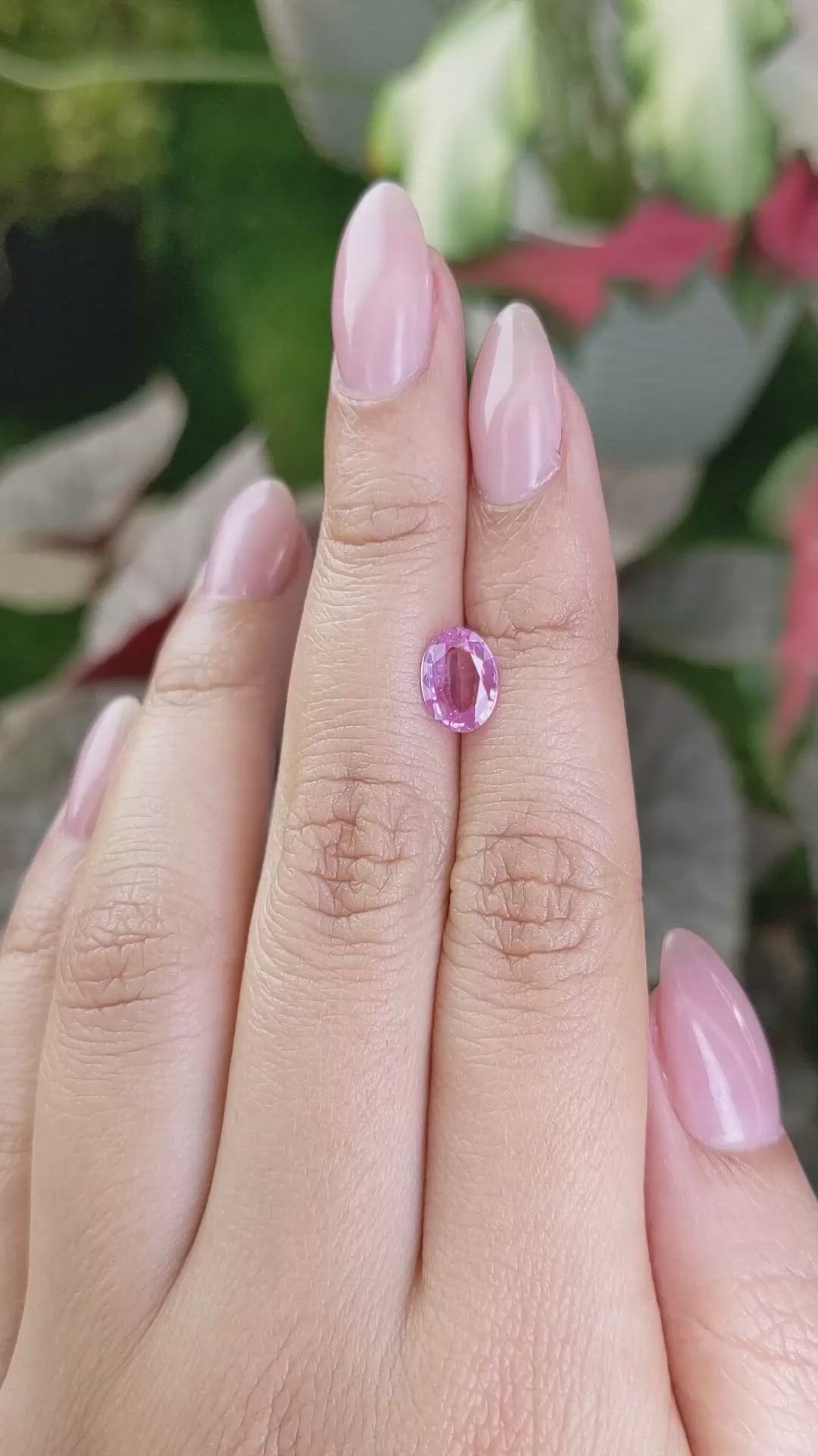 1.24 Ct. Pink Sapphire from Ceylon (Sri Lanka) Size Video