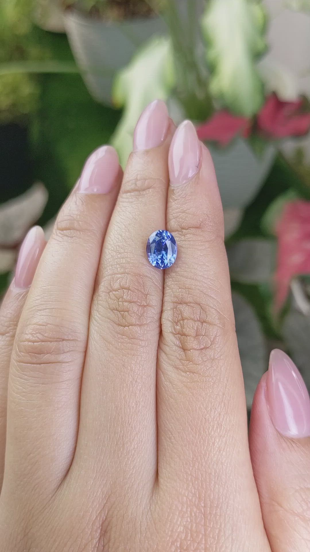 2.41 Ct. Blue Sapphire from Ceylon (Sri Lanka) Size Video