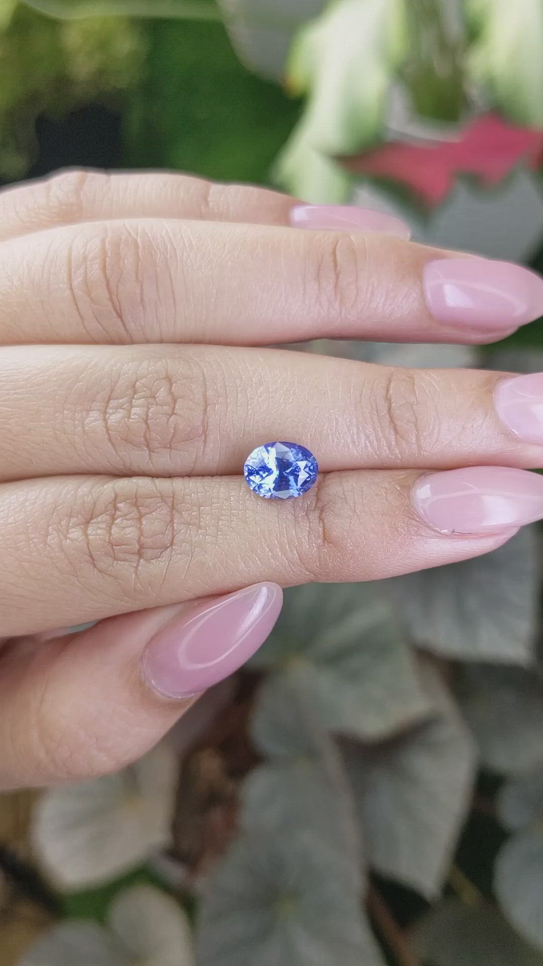 2.41 Ct. Blue Sapphire from Ceylon (Sri Lanka) Size Video