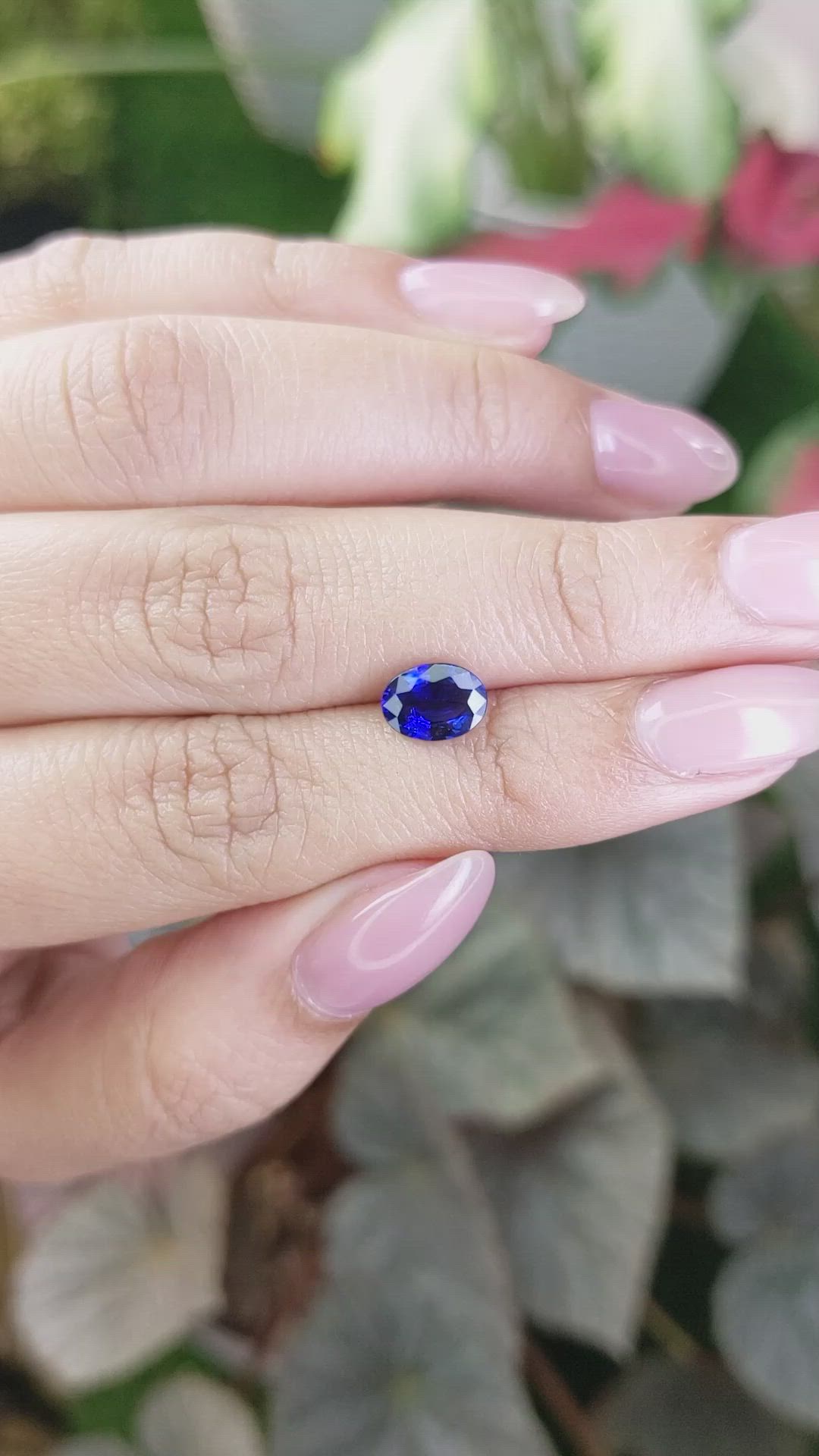 1.44 Ct. Blue Sapphire from Ceylon (Sri Lanka) Size Video
