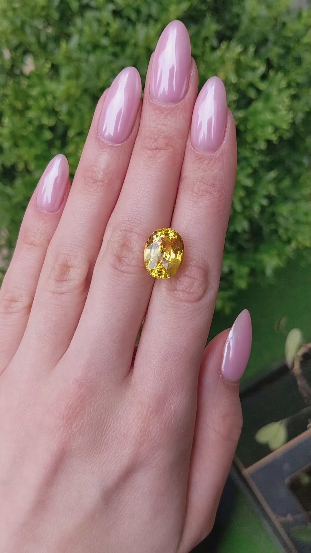11.31 Ct. Yellow Sapphire from Ceylon (Sri Lanka) Size Video