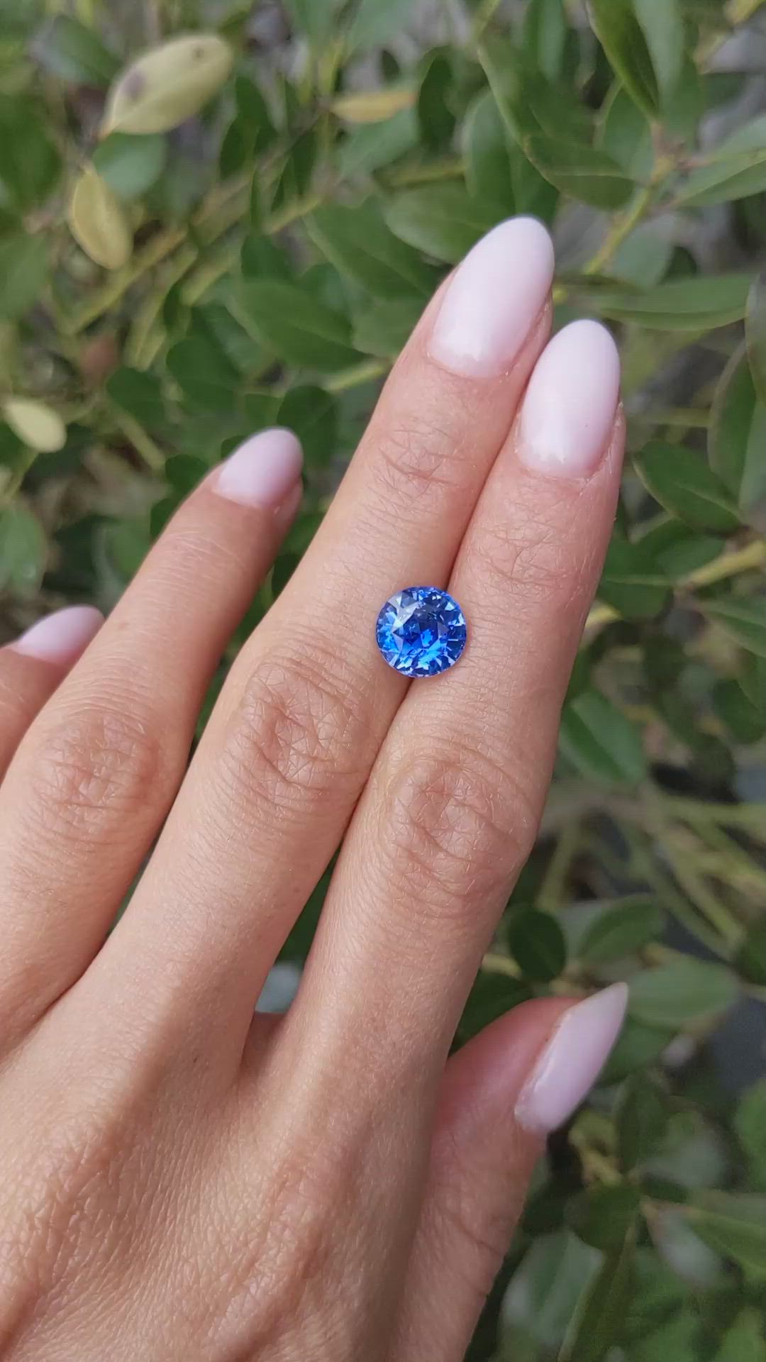 3.50 Ct. Blue Sapphire from Ceylon (Sri Lanka) Size Video