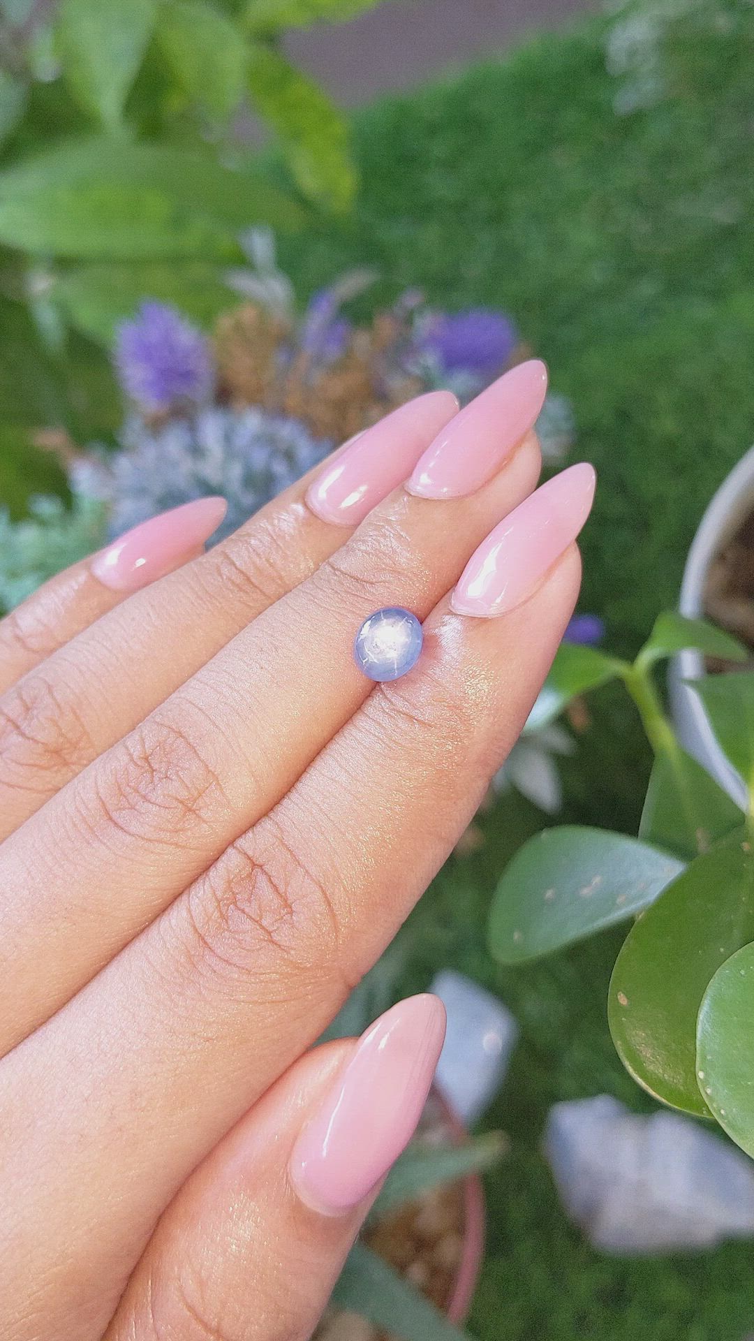 2.15 Ct. Blue Star Sapphire from Ceylon (Sri Lanka) Size Video