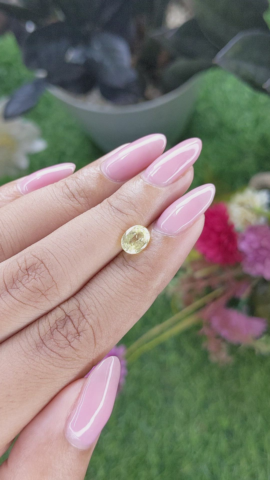 1.38 Ct. Yellow Sapphire from Ceylon (Sri Lanka) Size Video
