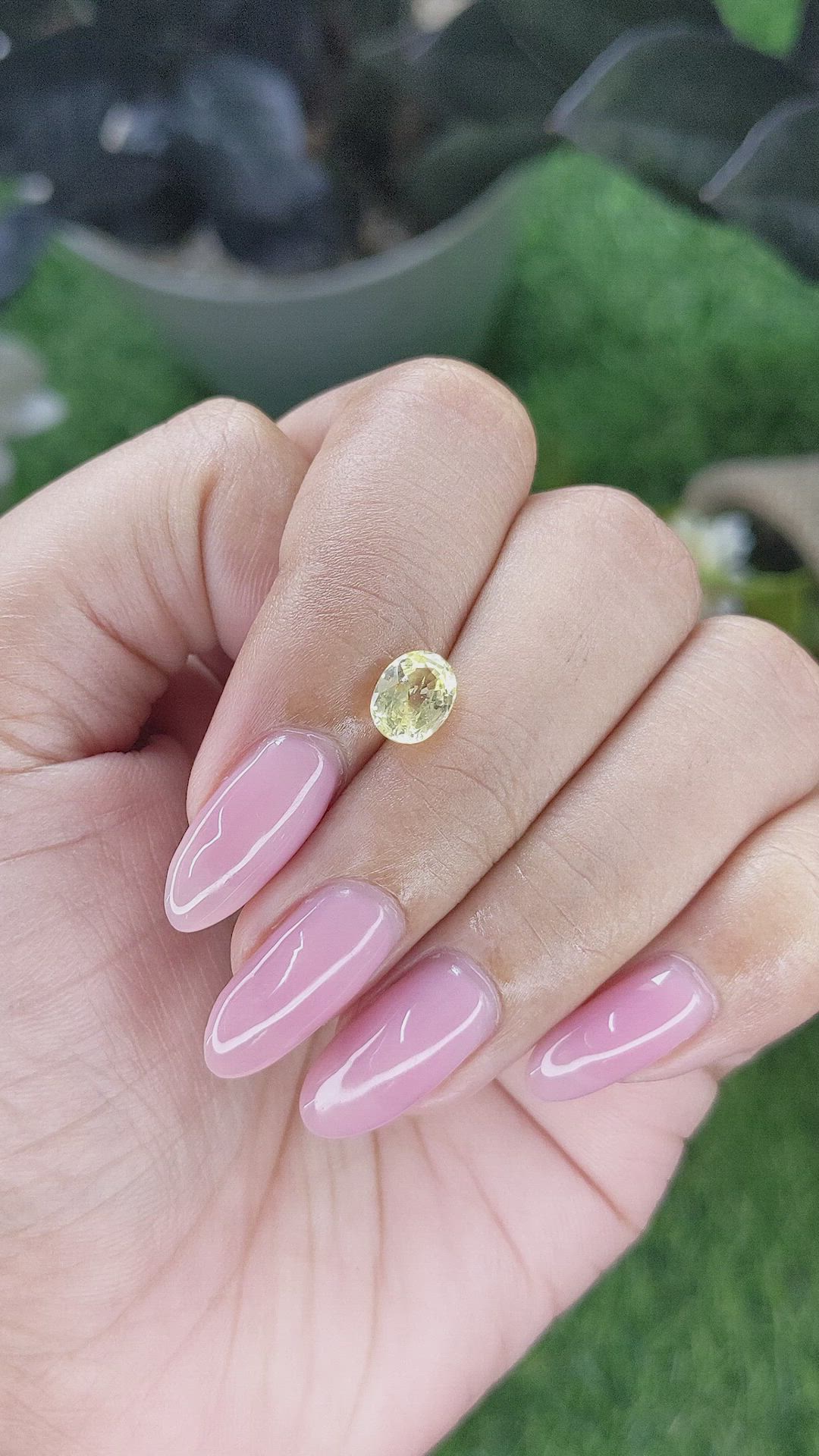 1.38 Ct. Yellow Sapphire from Ceylon (Sri Lanka) Size Video