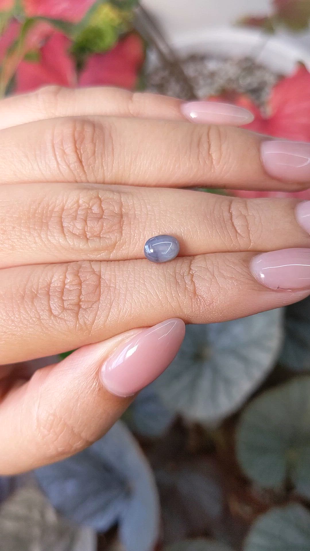 1.40 Ct. Grey Star Sapphire from Ceylon (Sri Lanka) Size Video