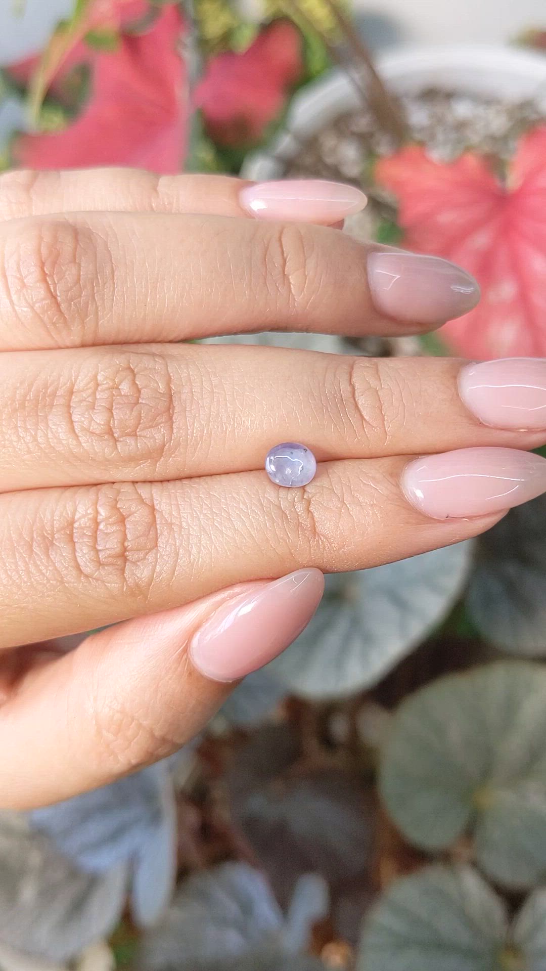 1.39 Ct. Violet Star Sapphire from Ceylon (Sri Lanka) Size Video