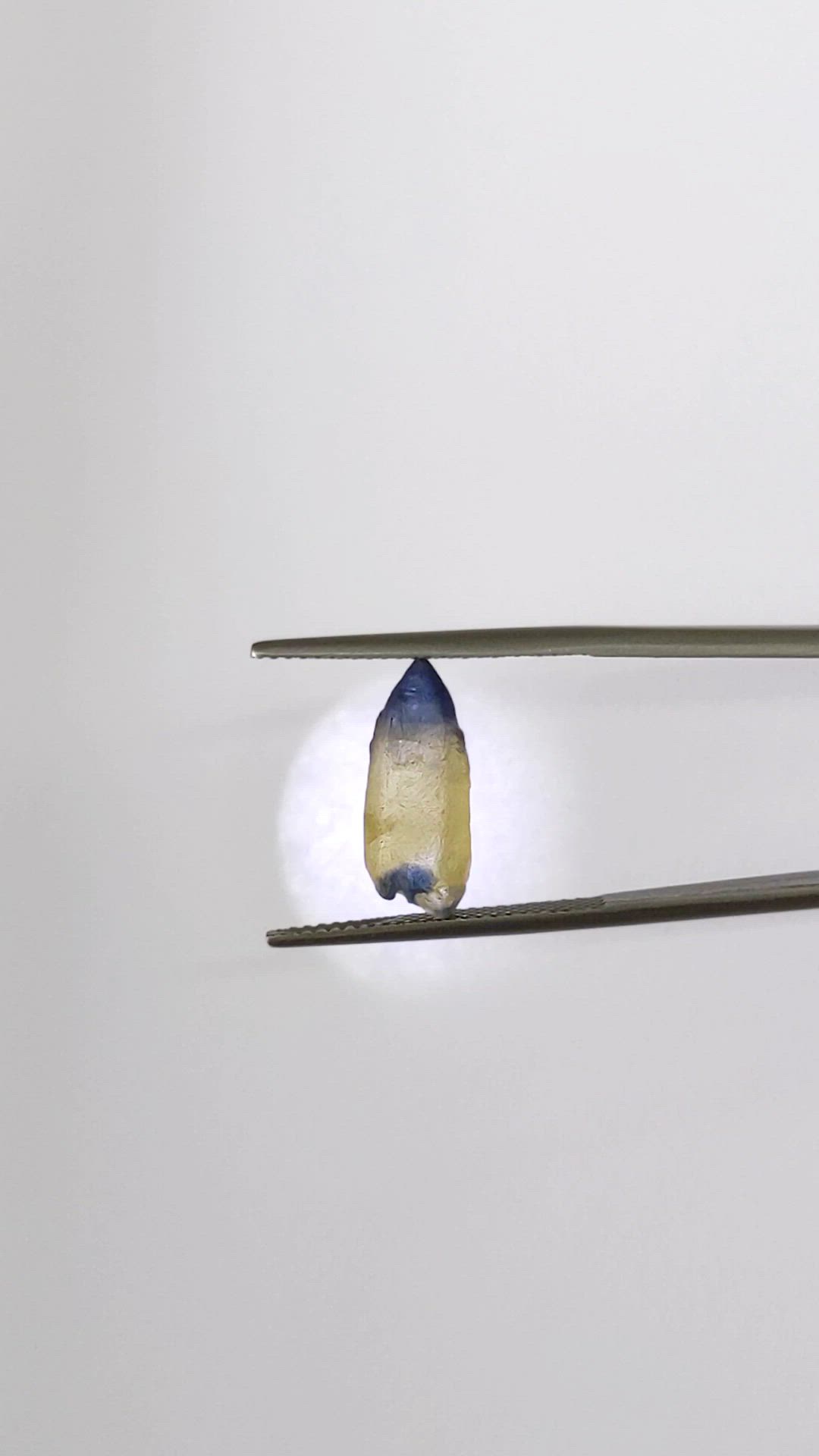 5.25 Ct. Bi Color / Parti Sapphire Crystal from Ceylon (Sri Lanka) Size Video