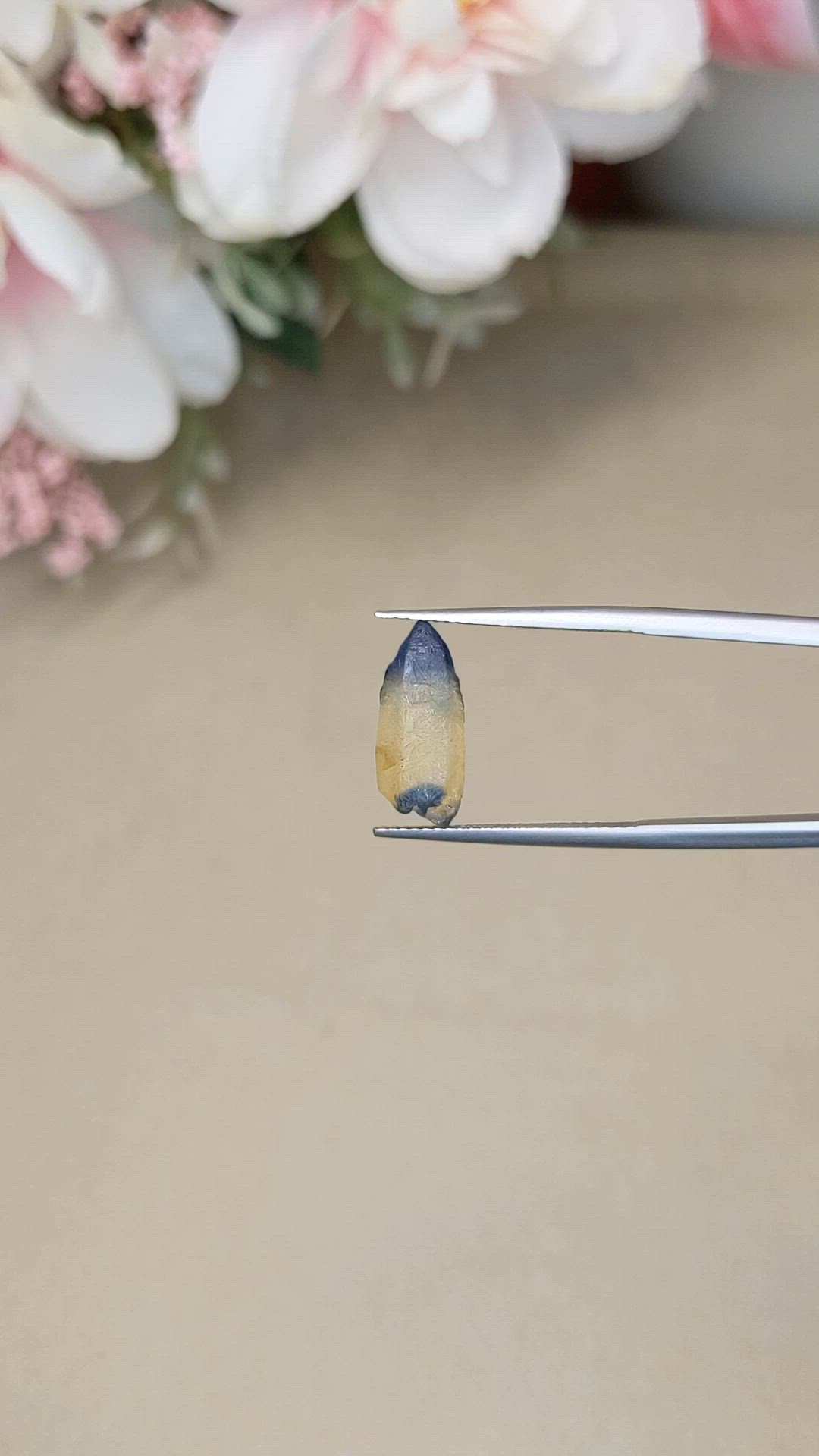 5.25 Ct. Bi Color / Parti Sapphire Crystal from Ceylon (Sri Lanka) Size Video