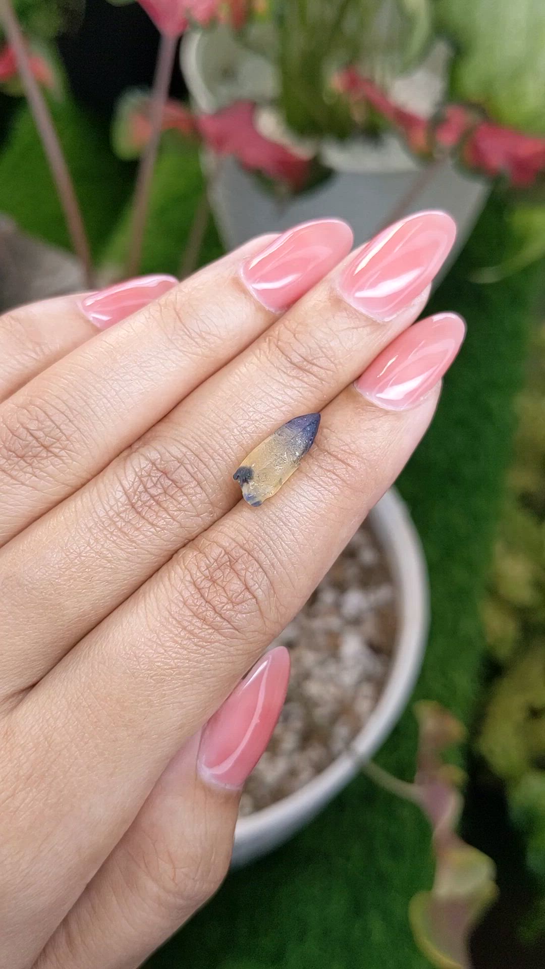 5.25 Ct. Bi Color / Parti Sapphire Crystal from Ceylon (Sri Lanka) Size Video