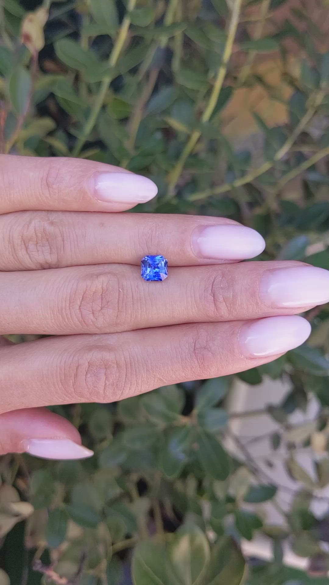 1.52 Ct. Blue Sapphire from Ceylon (Sri Lanka) Size Video
