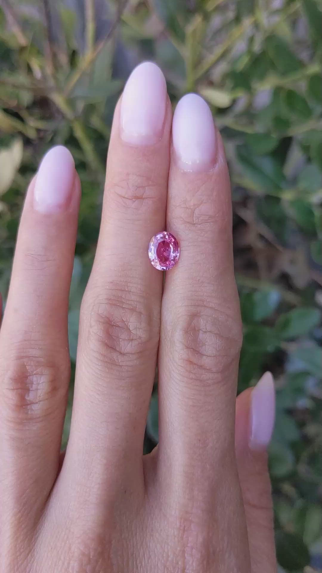 1.58 Ct. Pink Sapphire from Ceylon (Sri Lanka) Size Video