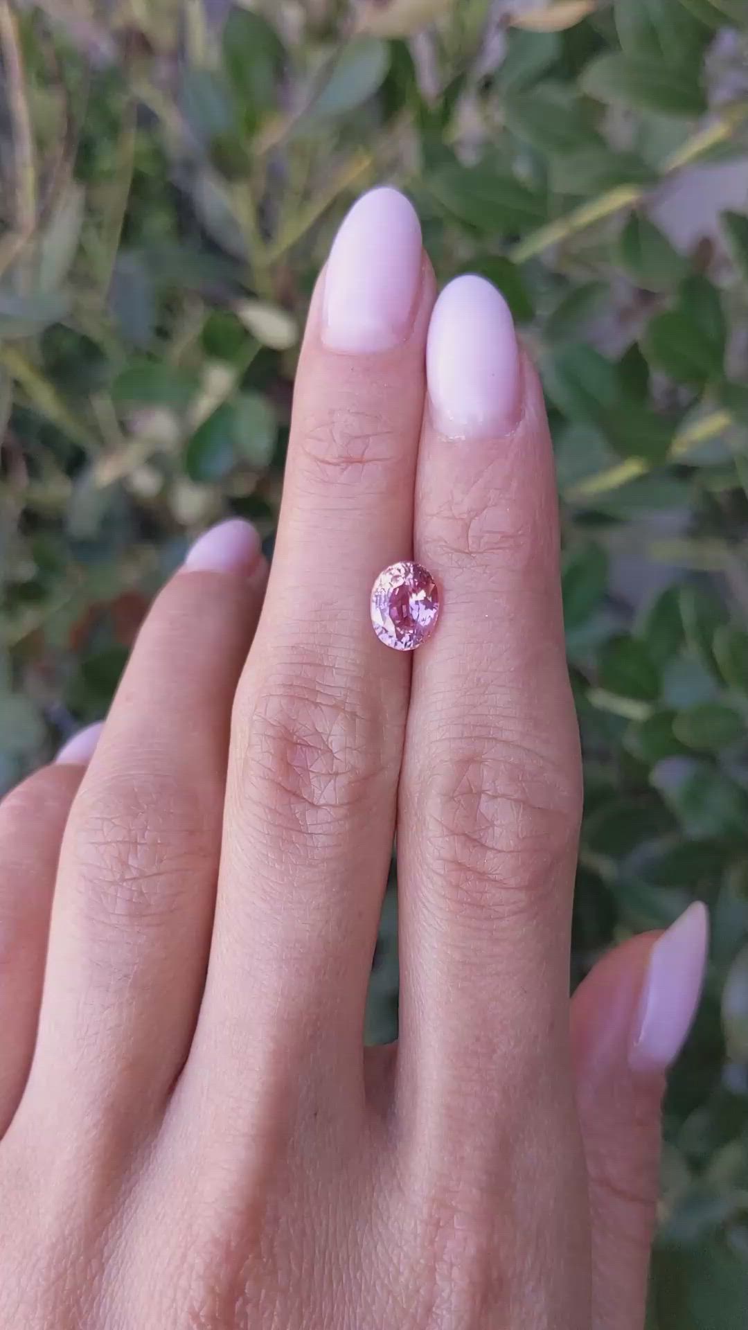 2.08 Ct. Pink Sapphire from Ceylon (Sri Lanka) Size Video