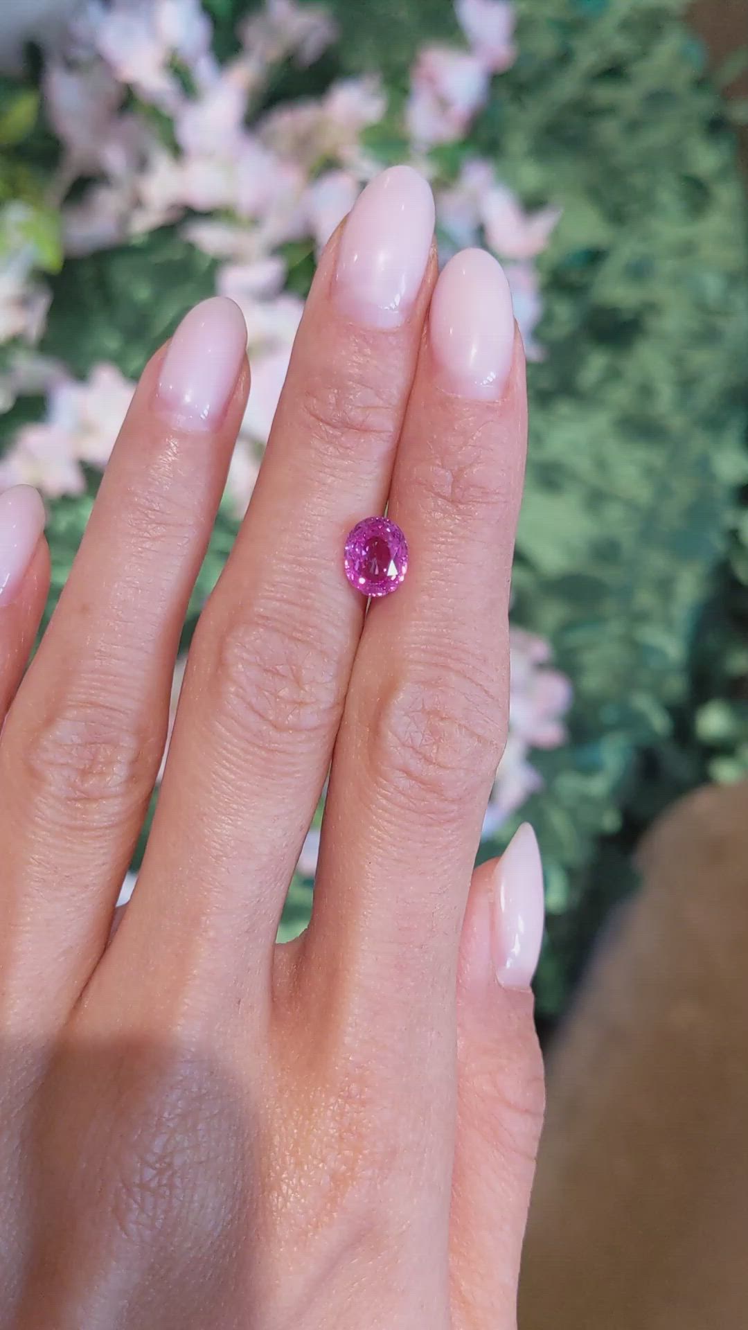 2.41 Ct. Pink Sapphire from Ceylon (Sri Lanka) Size Video