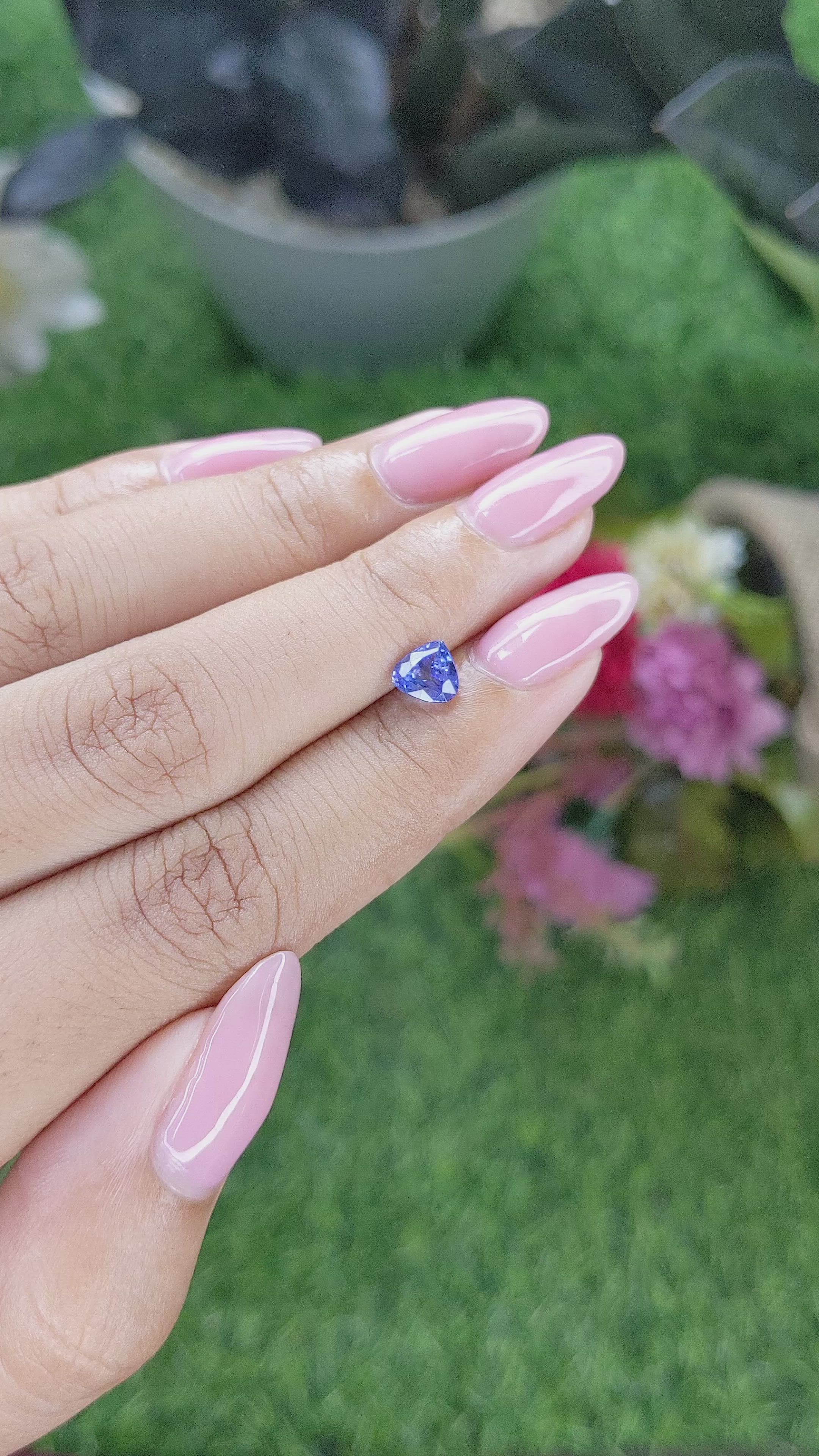 1.00 Ct. Blue Sapphire from Tanzania Size Video