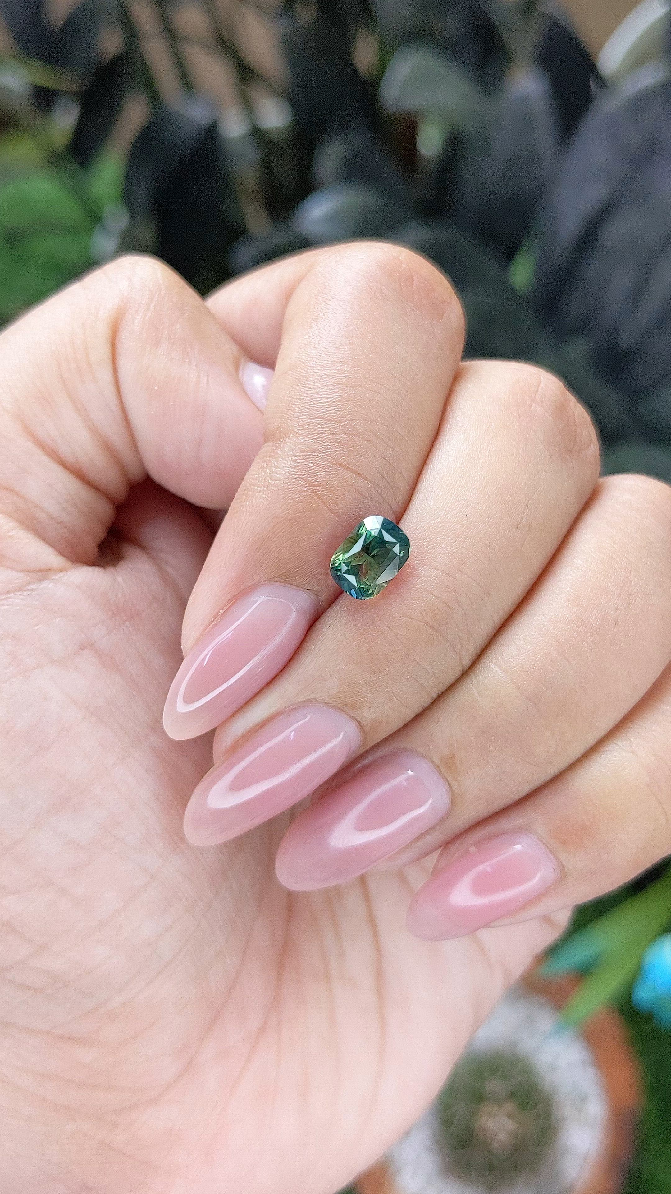 1.62 Ct. Bi Color / Parti Sapphire from Madagascar Size Video