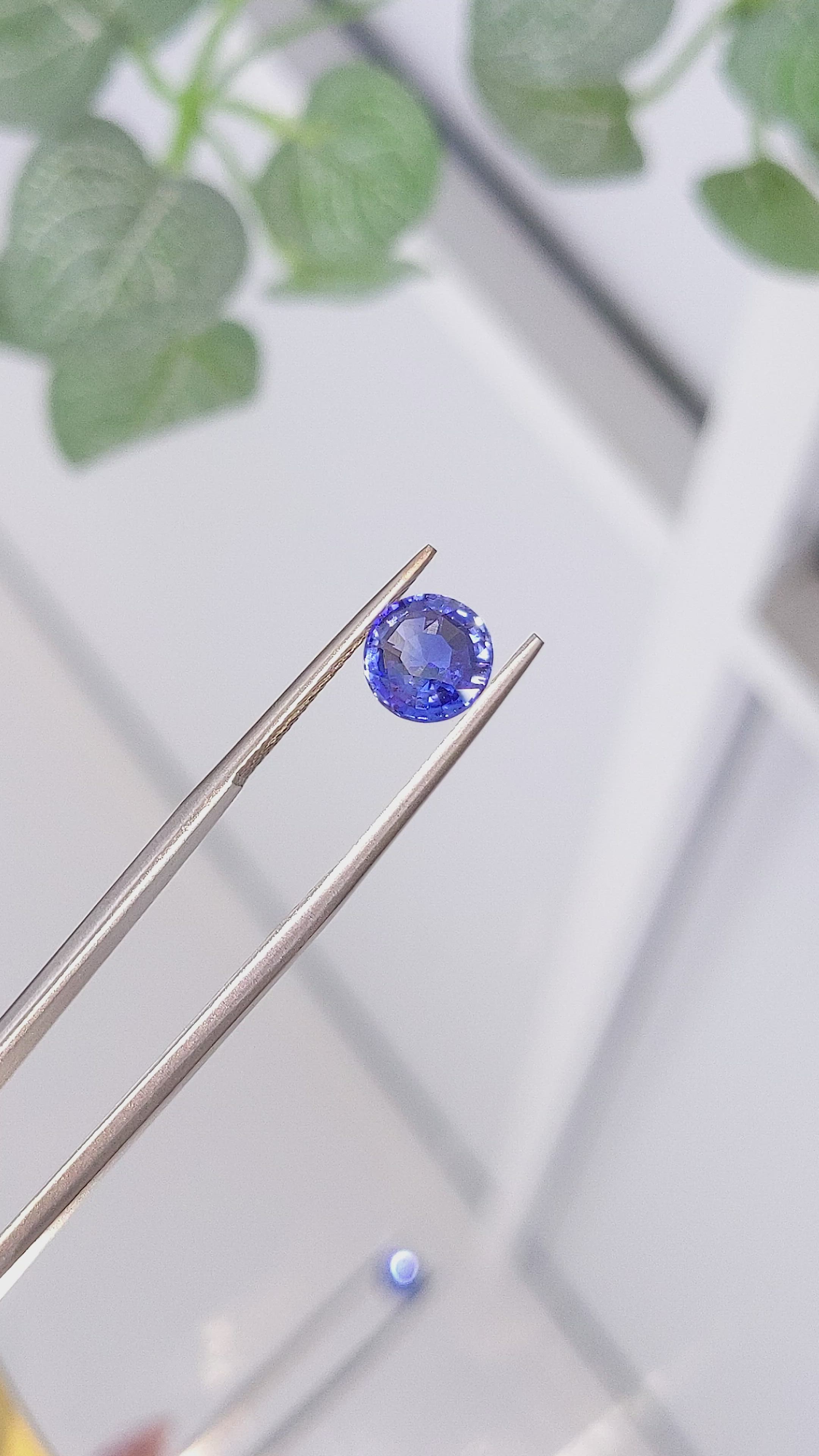 1.82 Ct. Blue Sapphire from Ceylon (Sri Lanka) Size Video