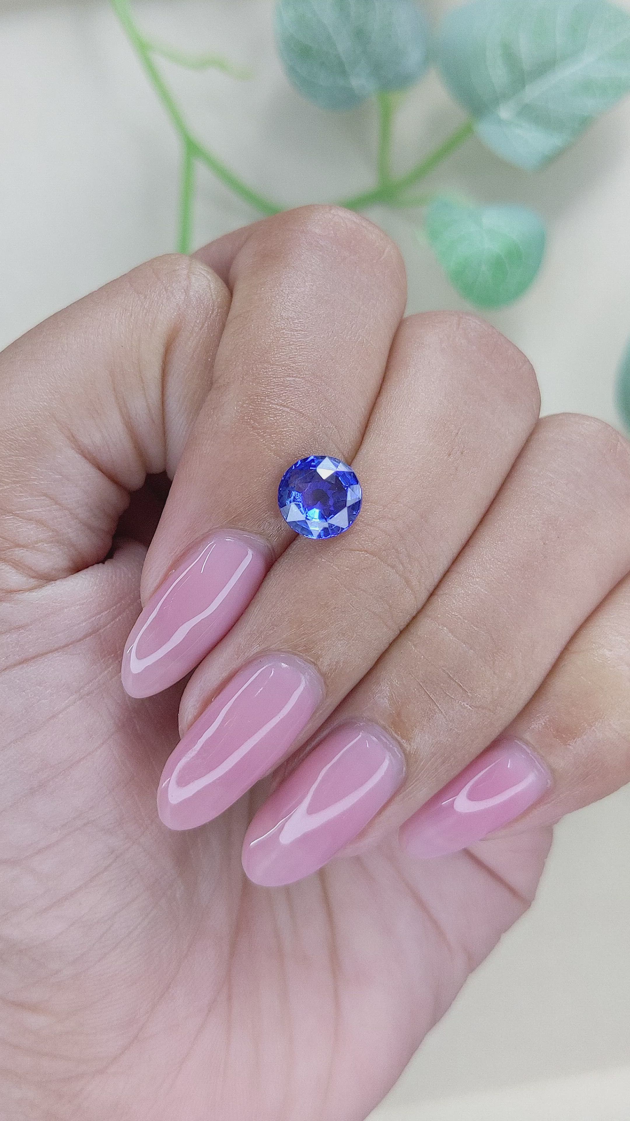 1.82 Ct. Blue Sapphire from Ceylon (Sri Lanka) Size Video