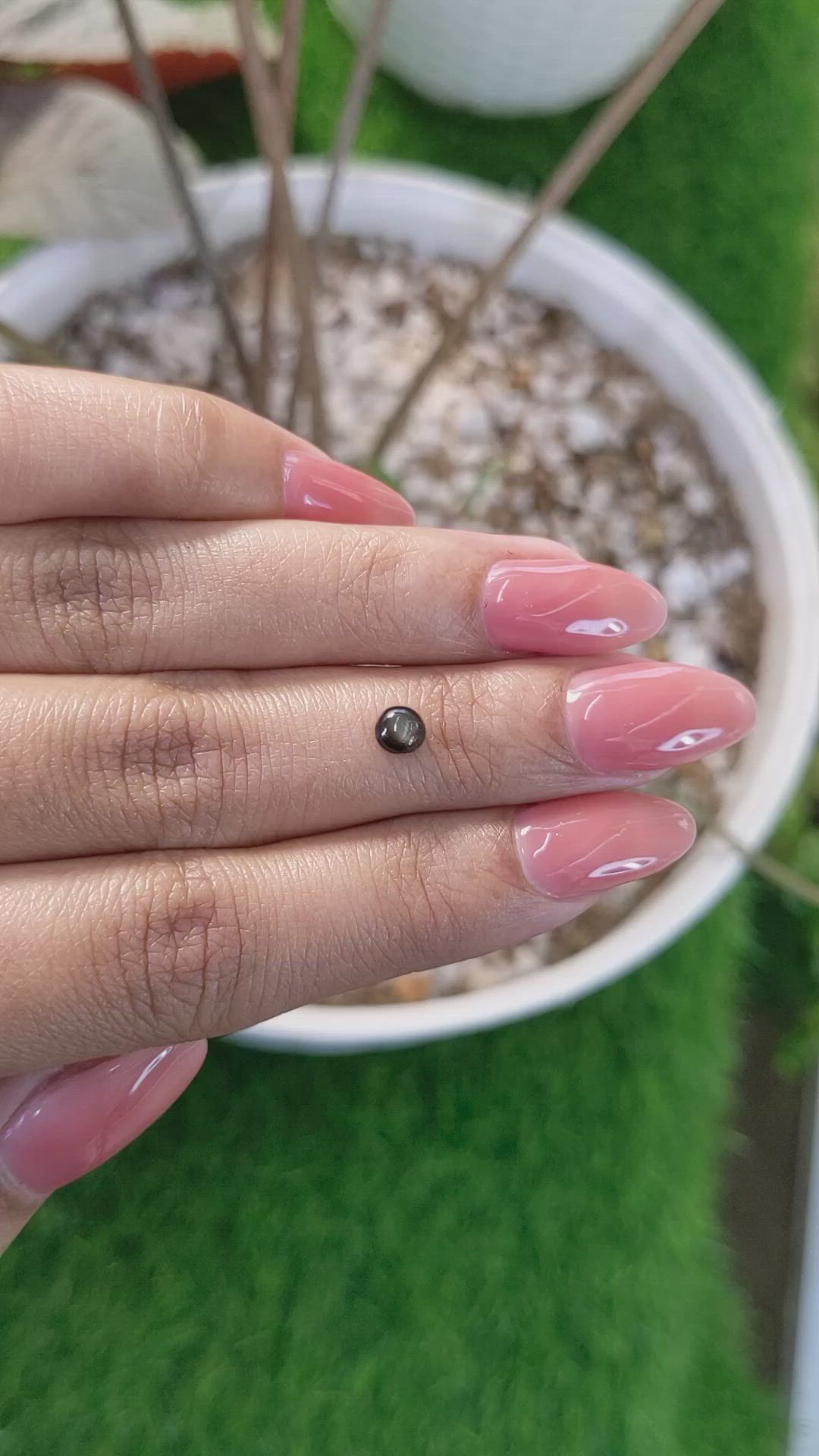0.48 Ct. Black Star Sapphire from Ceylon (Sri Lanka) Size Video
